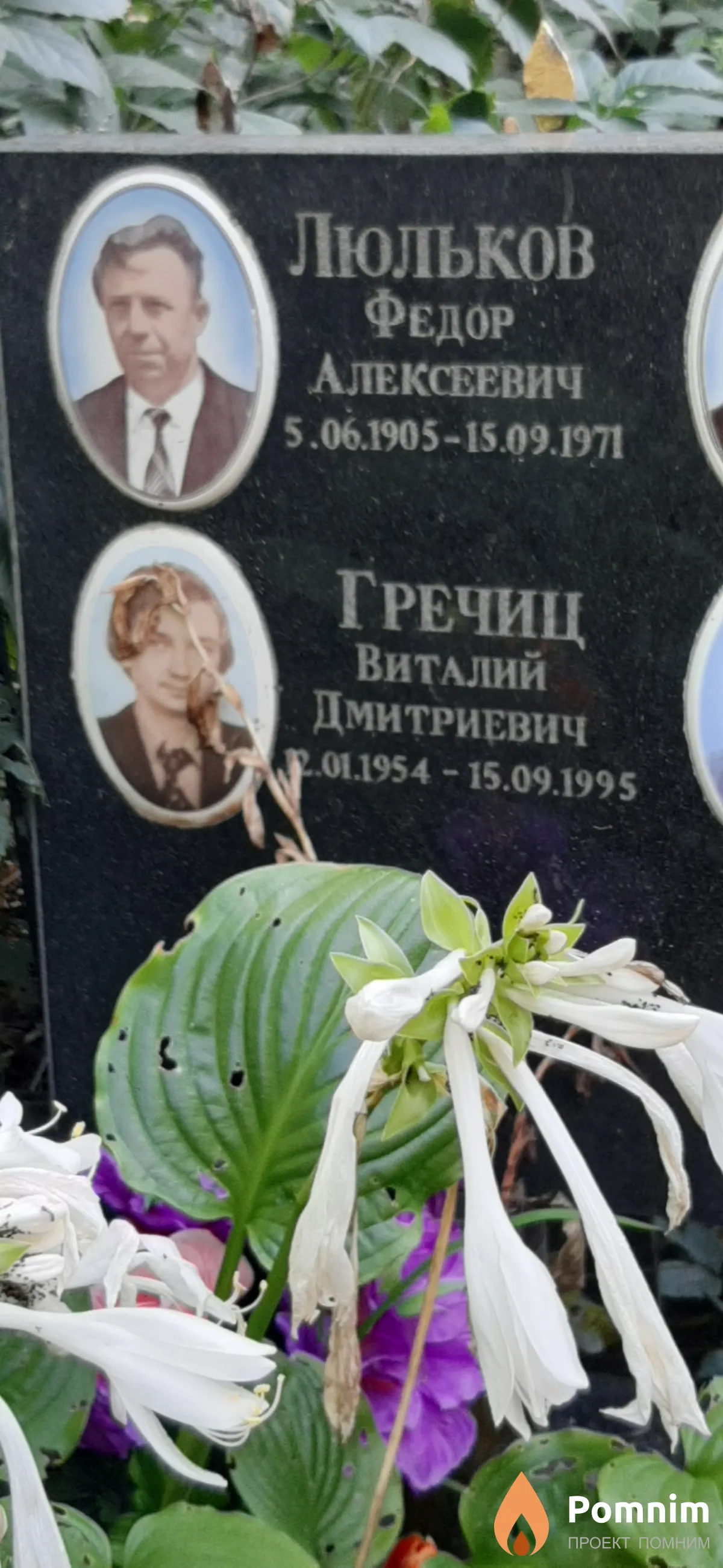 Гречиц Виталий Дмитриевич