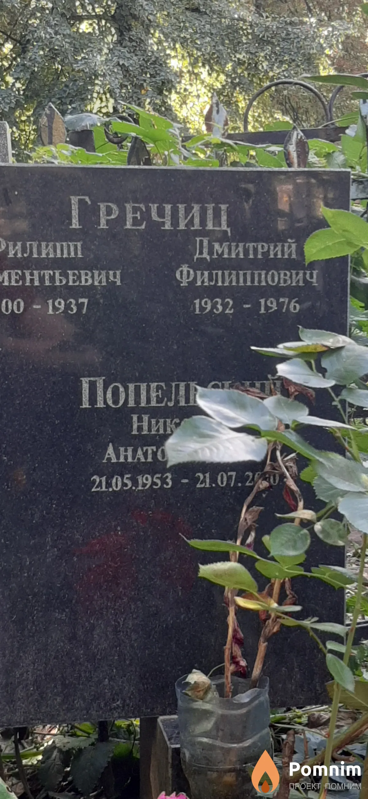 Гречиц Дмитрий Филиппович