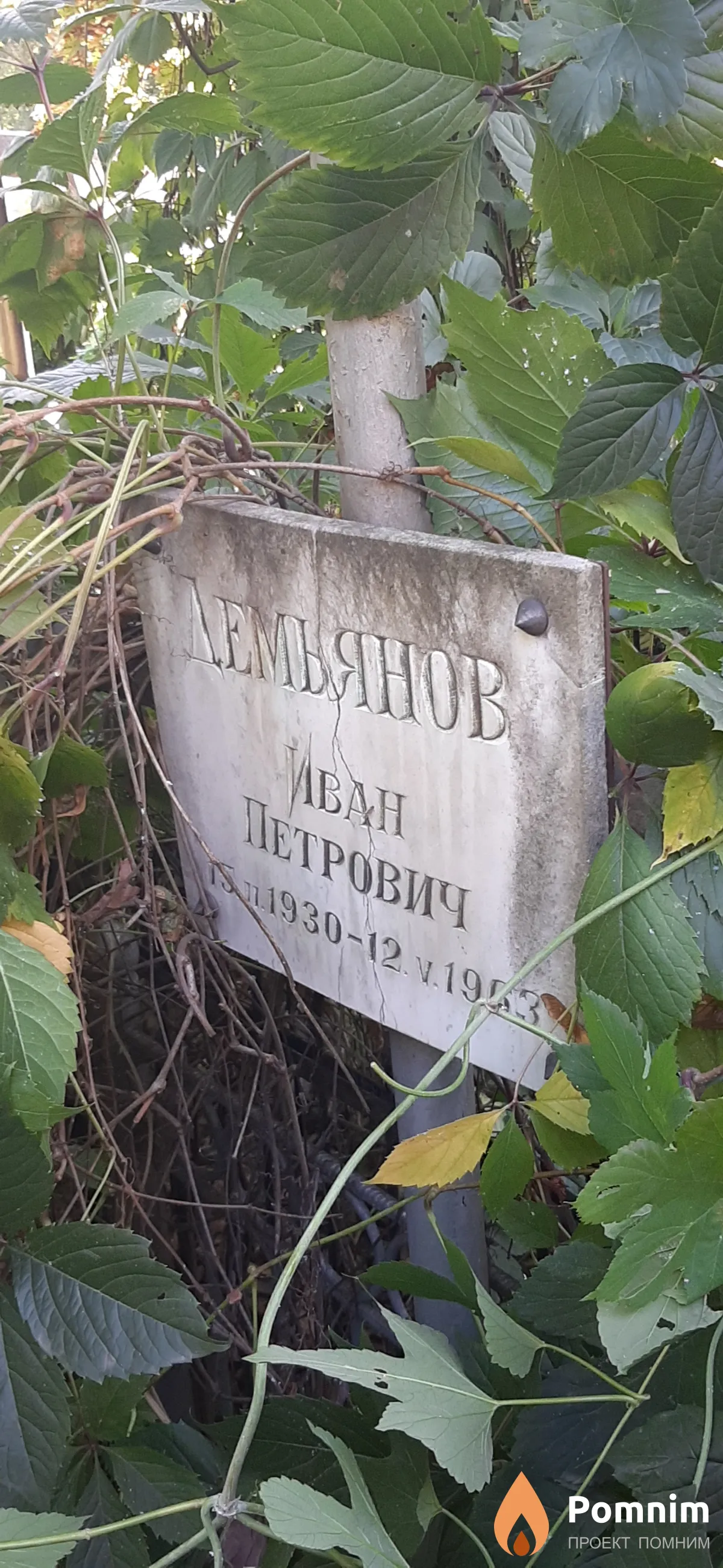 Демьянов Иван Петрович