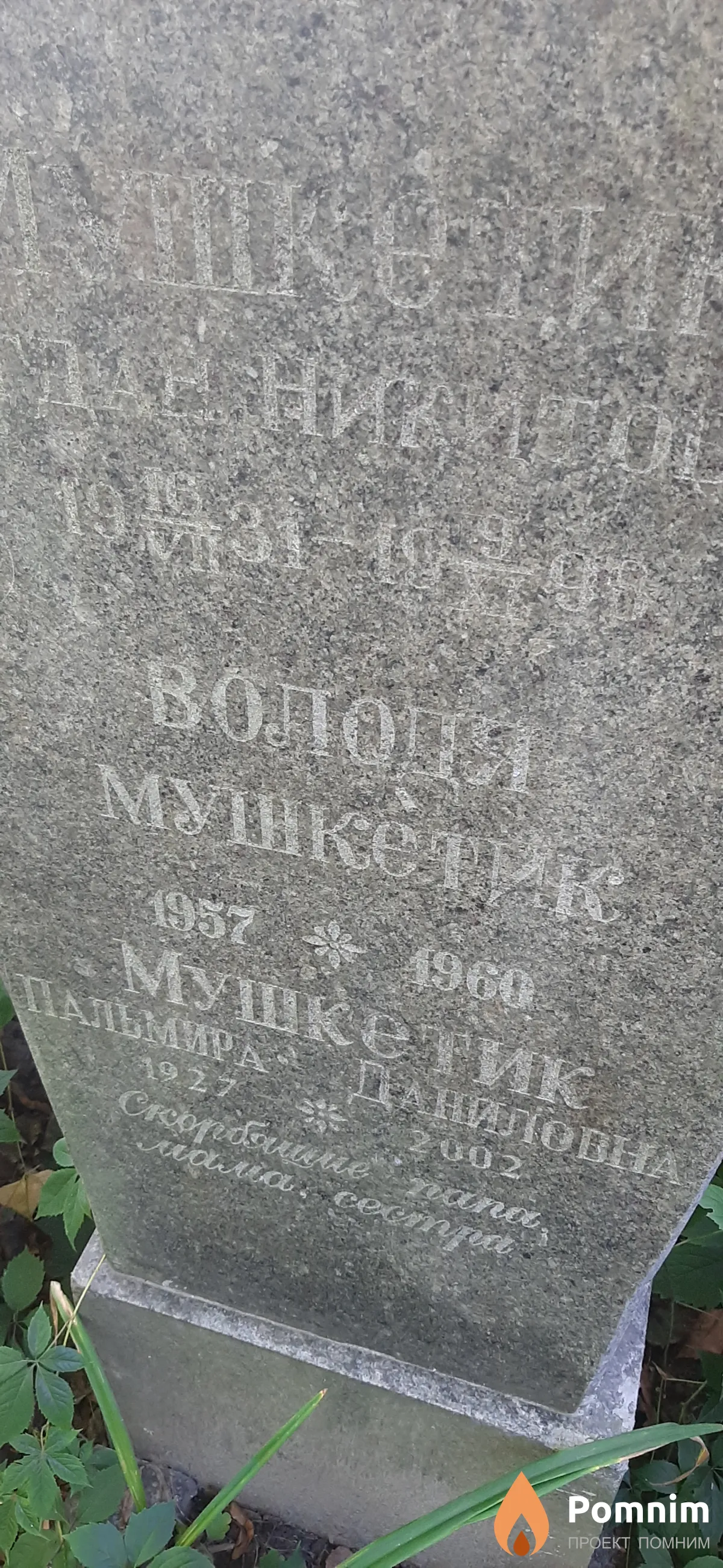 Мушкетик Володя