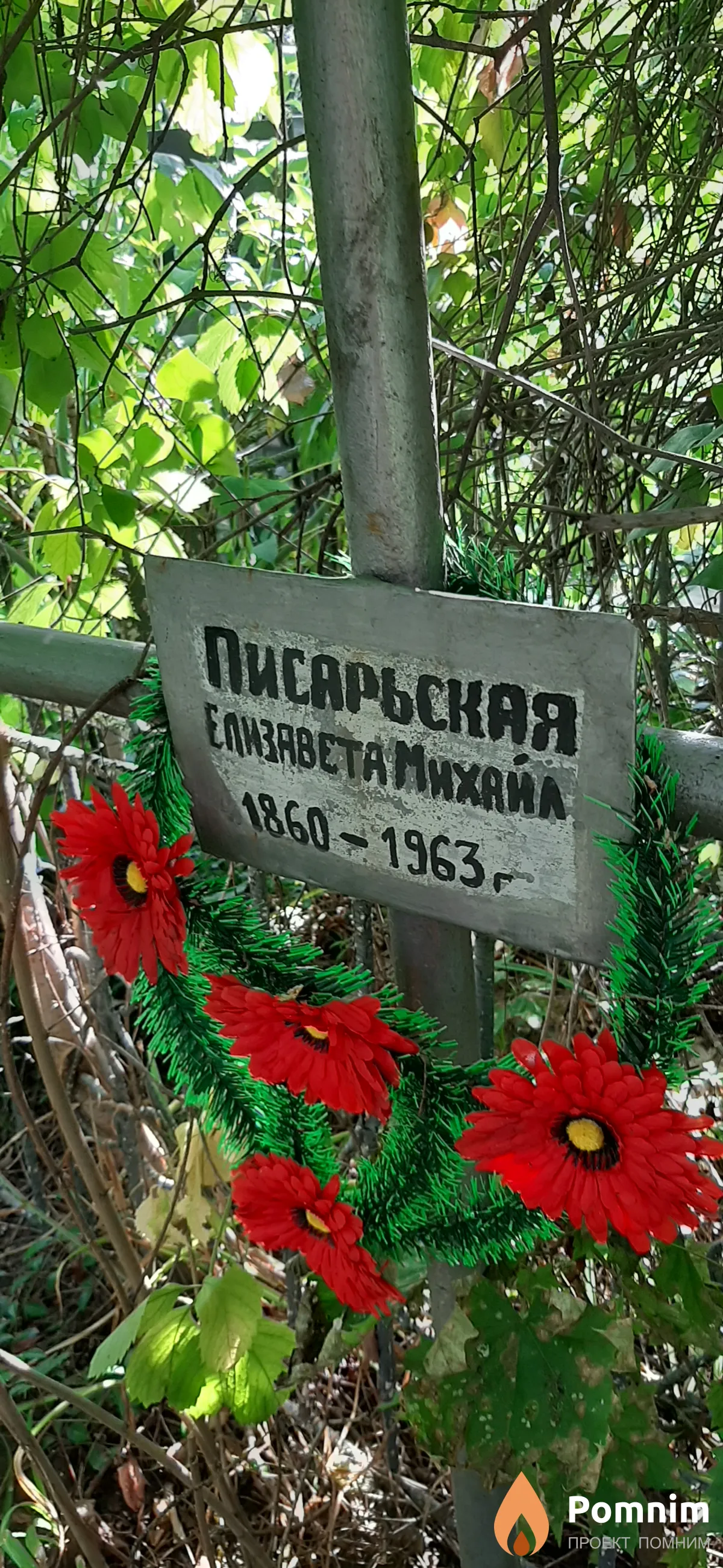 Писарьская Елизавета Михайловна