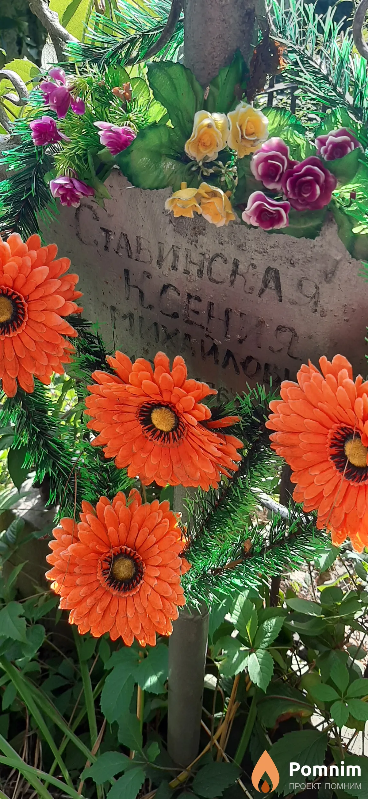 Ставинская Ксения Михайловна