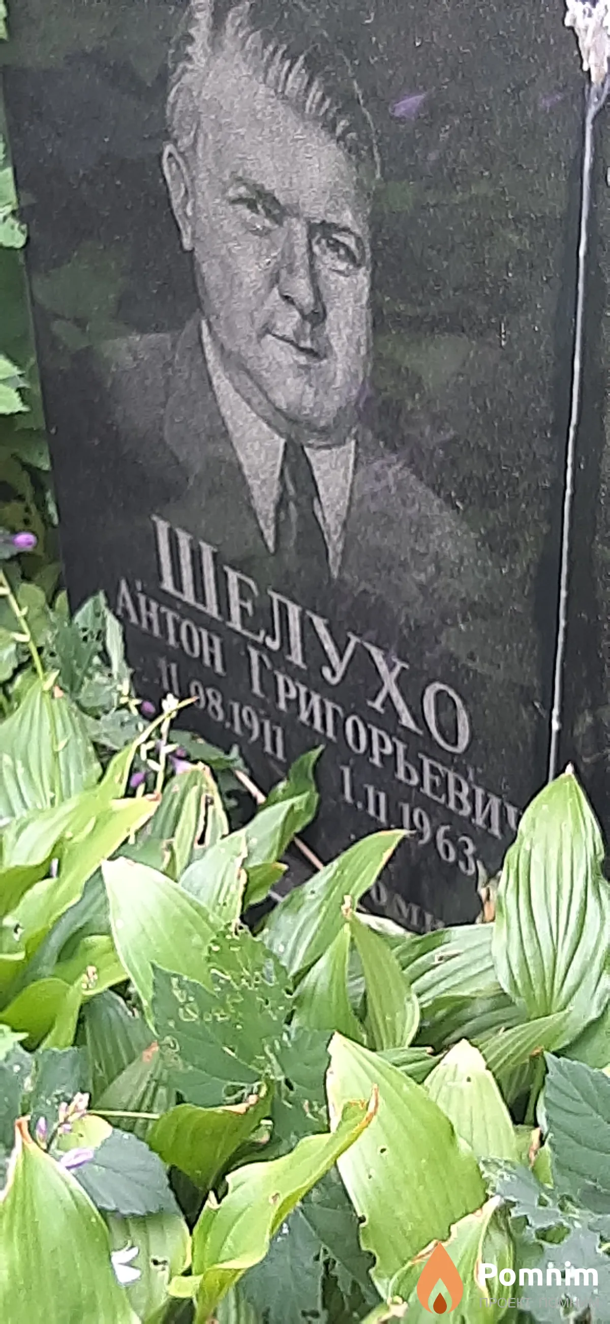 Шелухо Антон Гнигорьевич