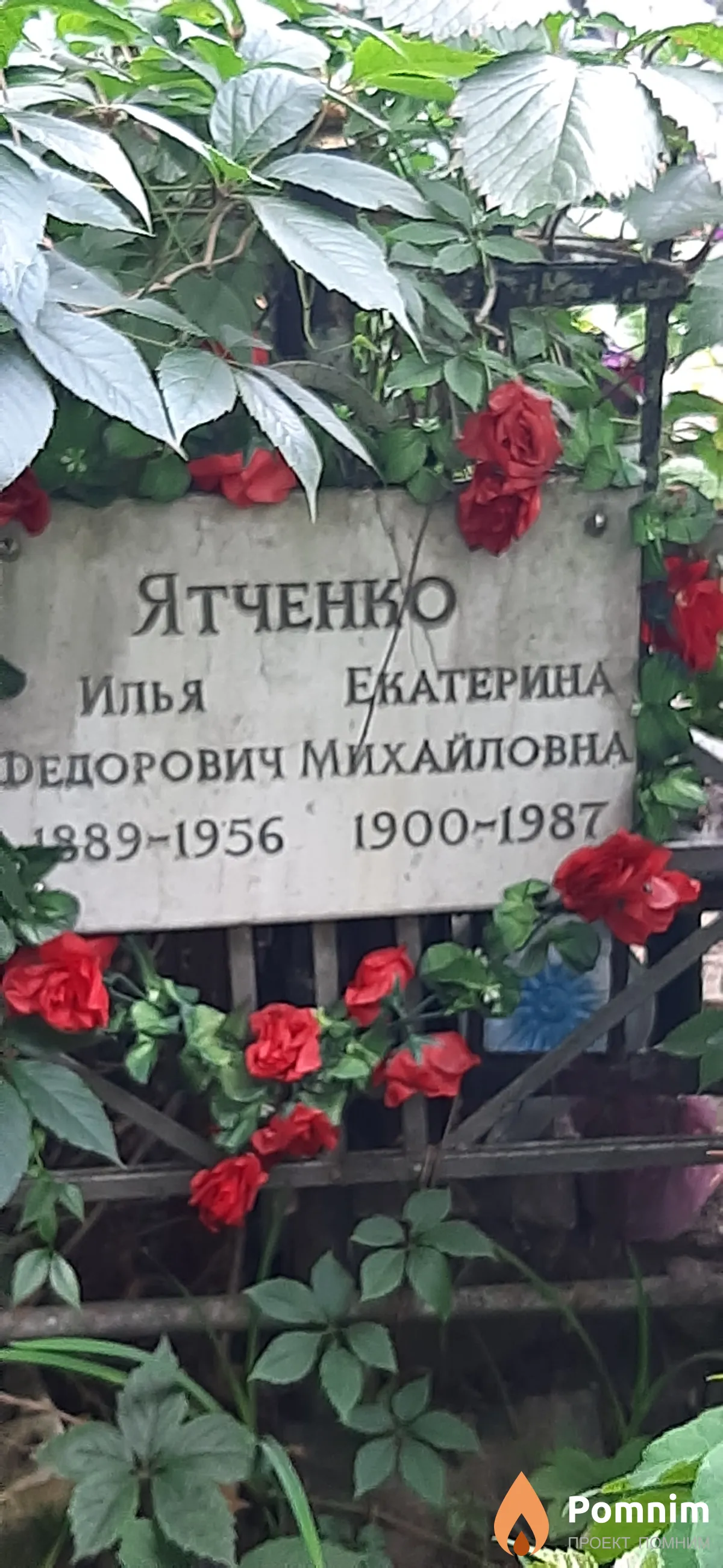 Ятченко Екатерина Михайловна