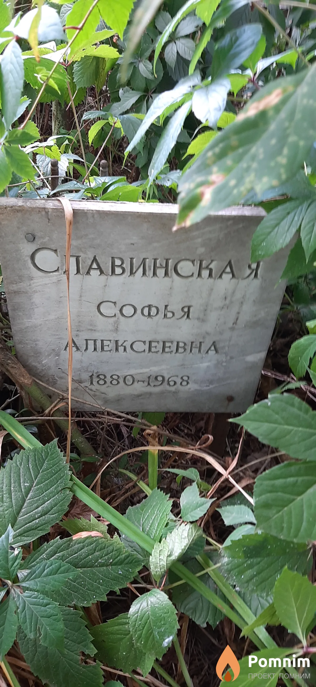 Славинская Софья Алексеевна