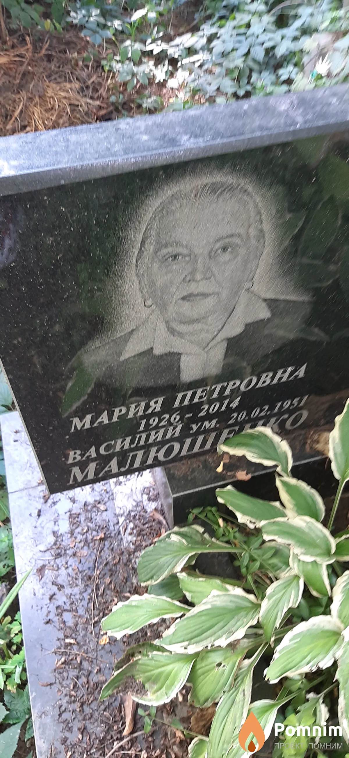 Малюшенко Василий
