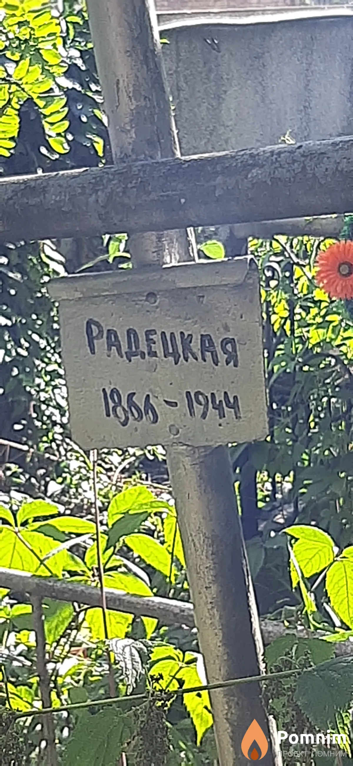 Радецкая -