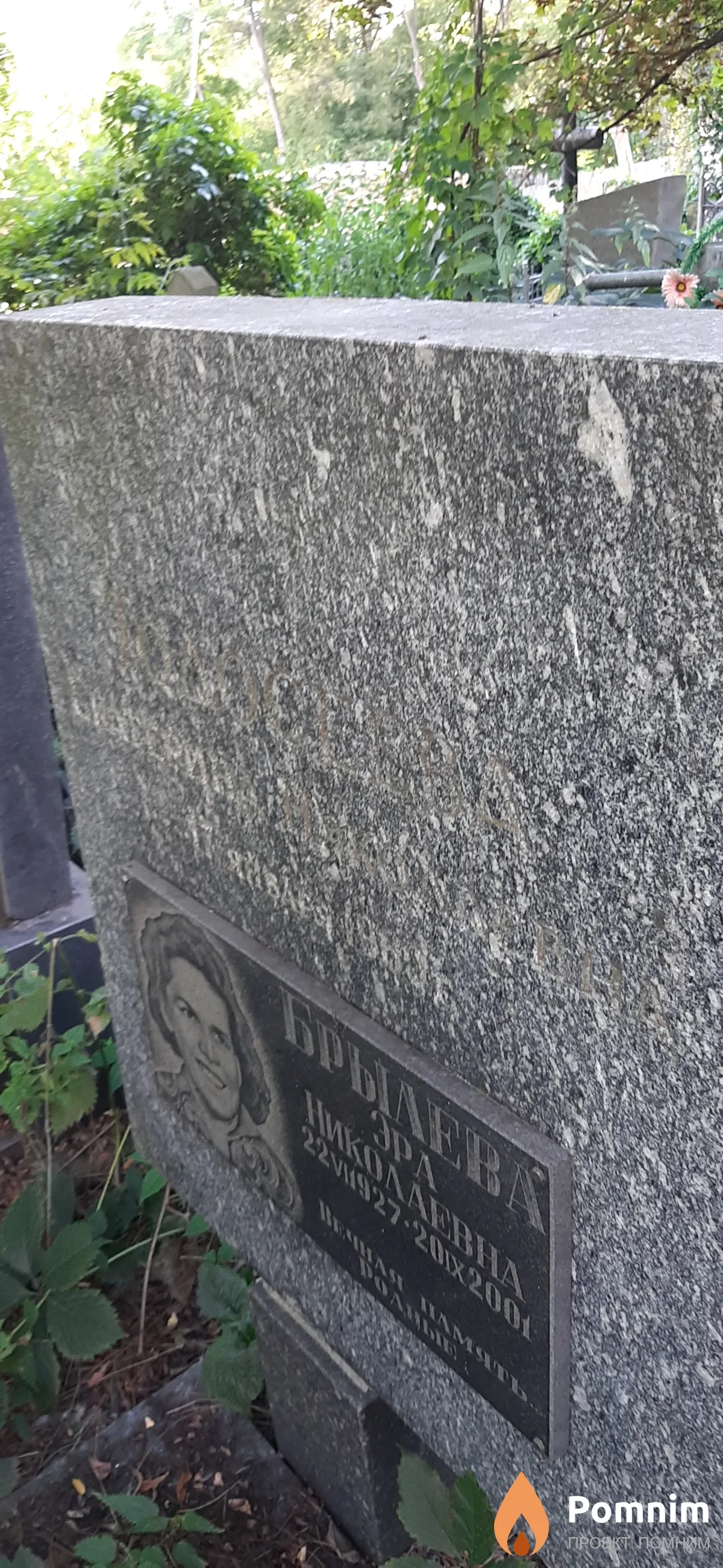 Тодосеева Екатерина Николаевна