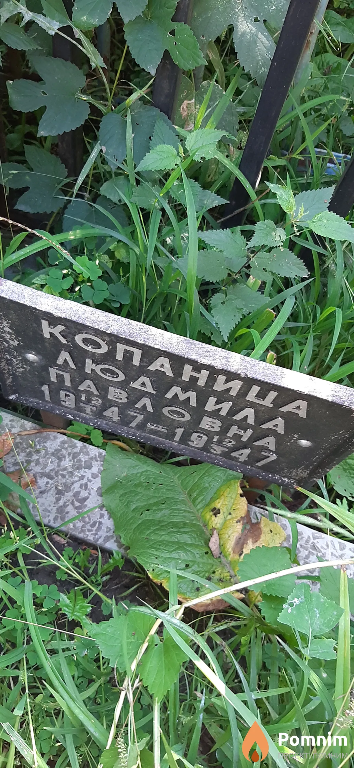 Копаница Людмила Павловна