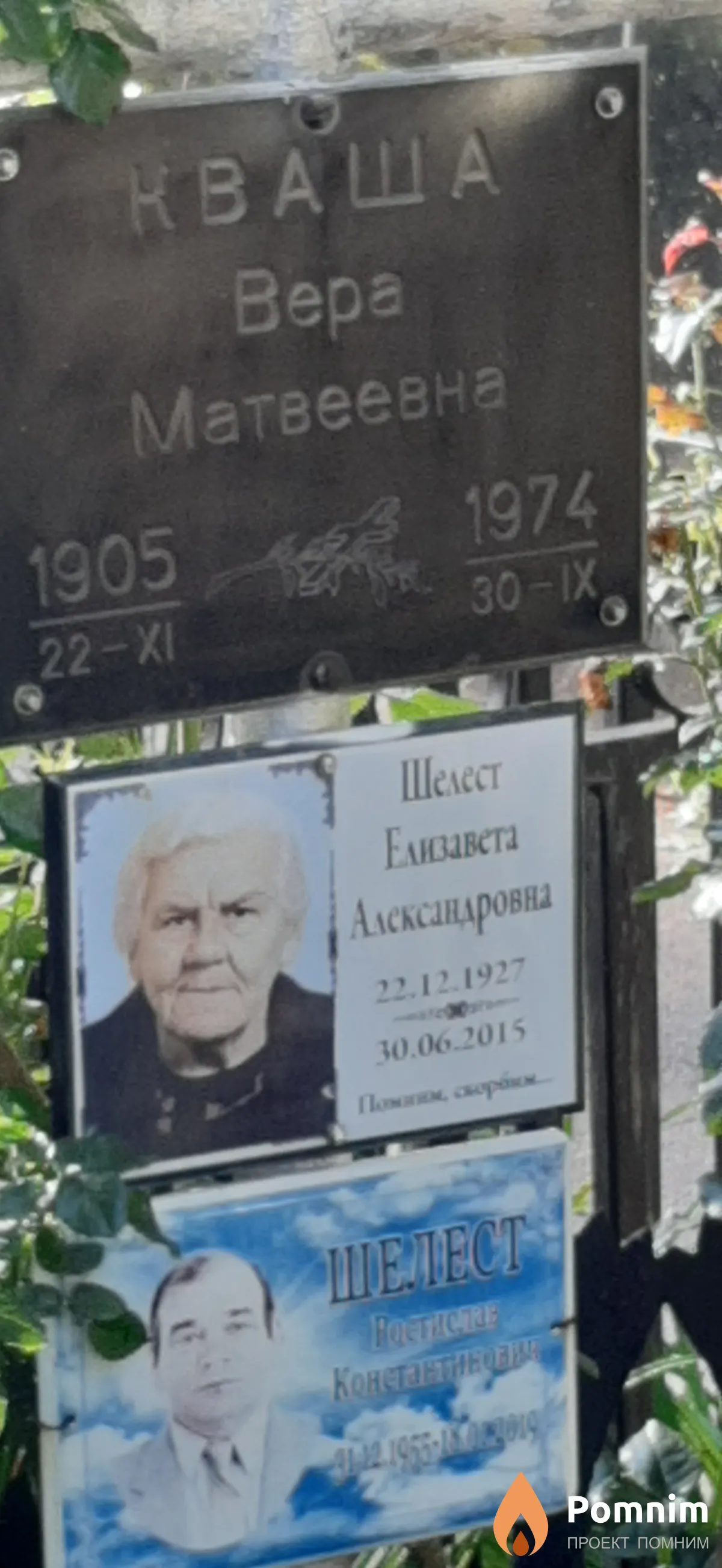Шелест Елизавета Александровна