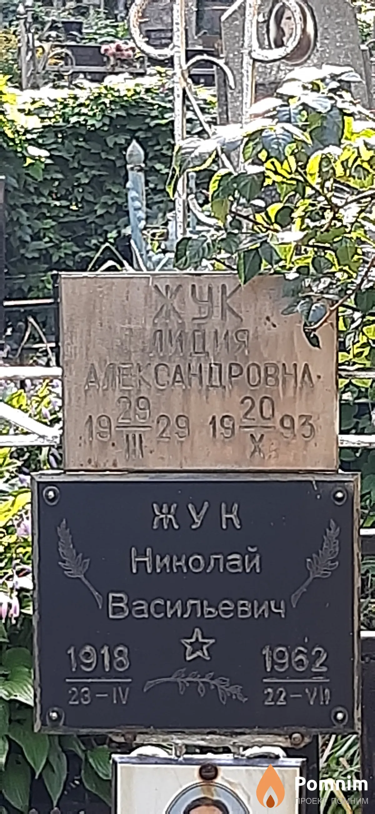 Жук Лидия Александровна