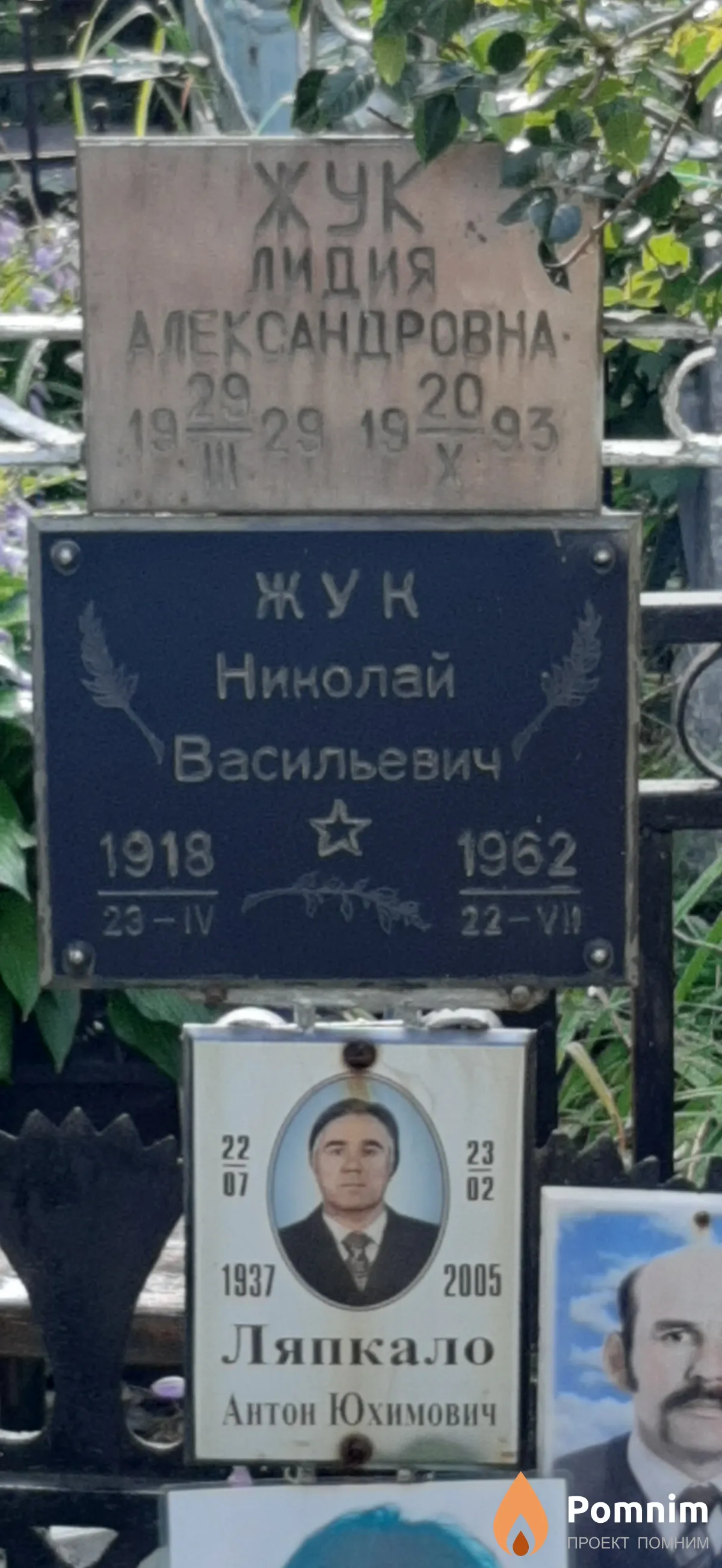 Жук Николай Васильевич