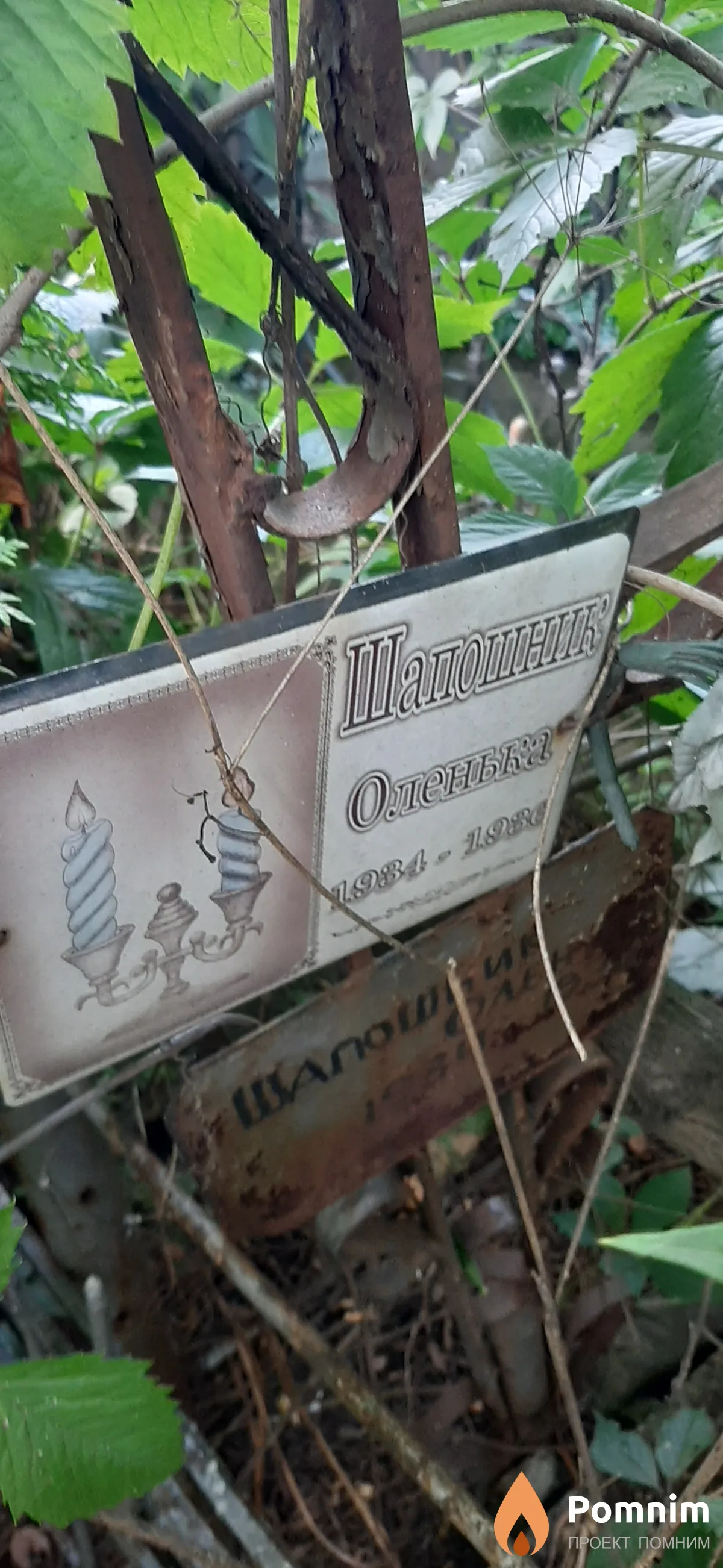 Шапошник Оленька