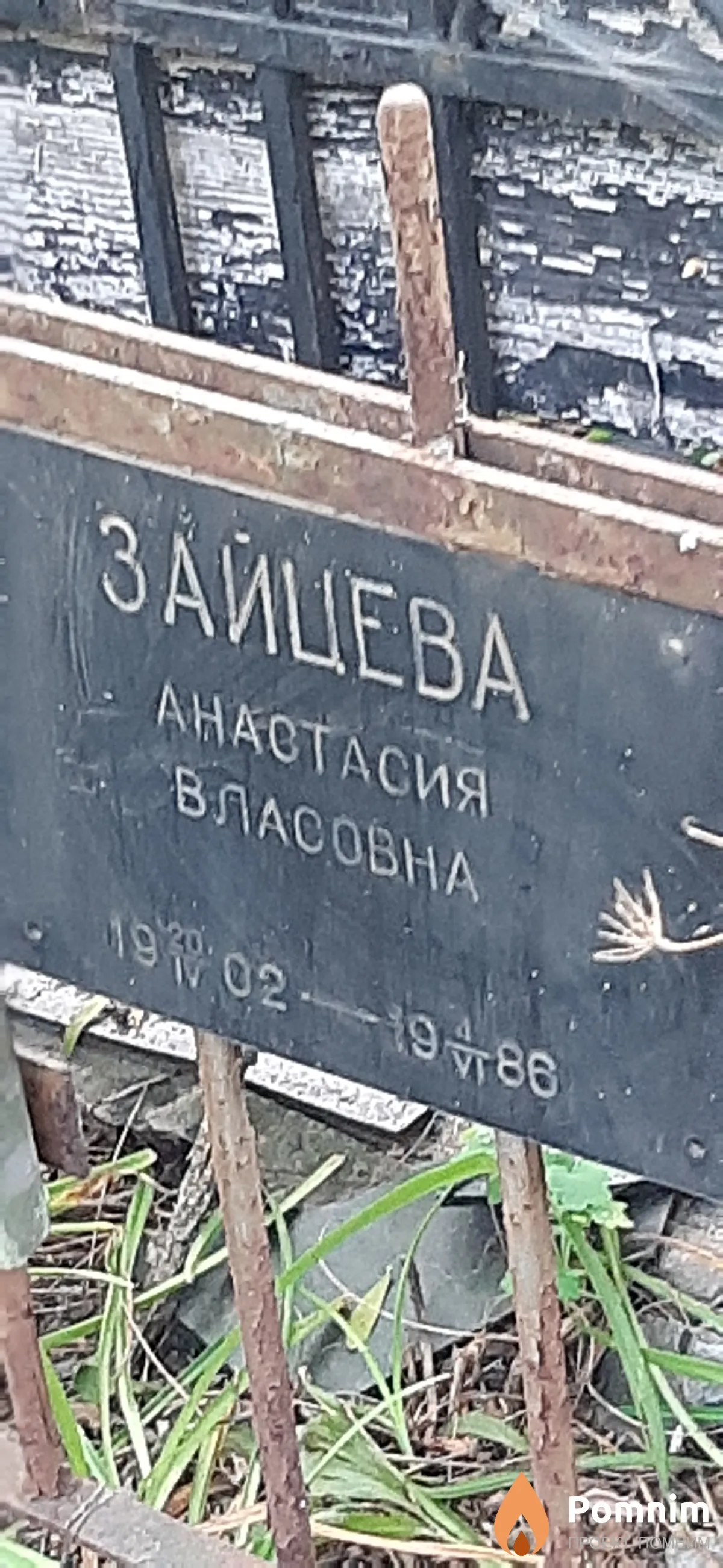 Зайцева Анастасия Власова