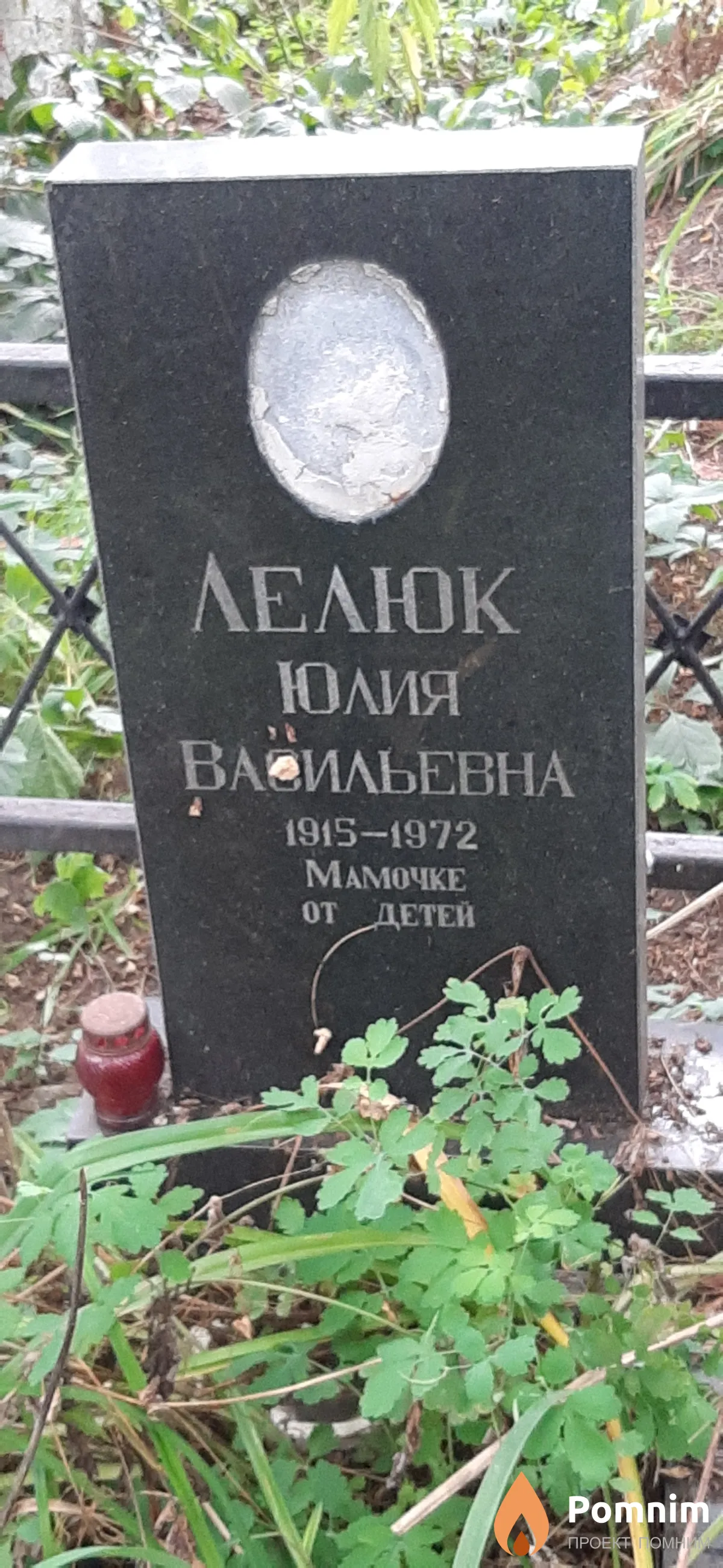 Лелюк Юлия Васильевна