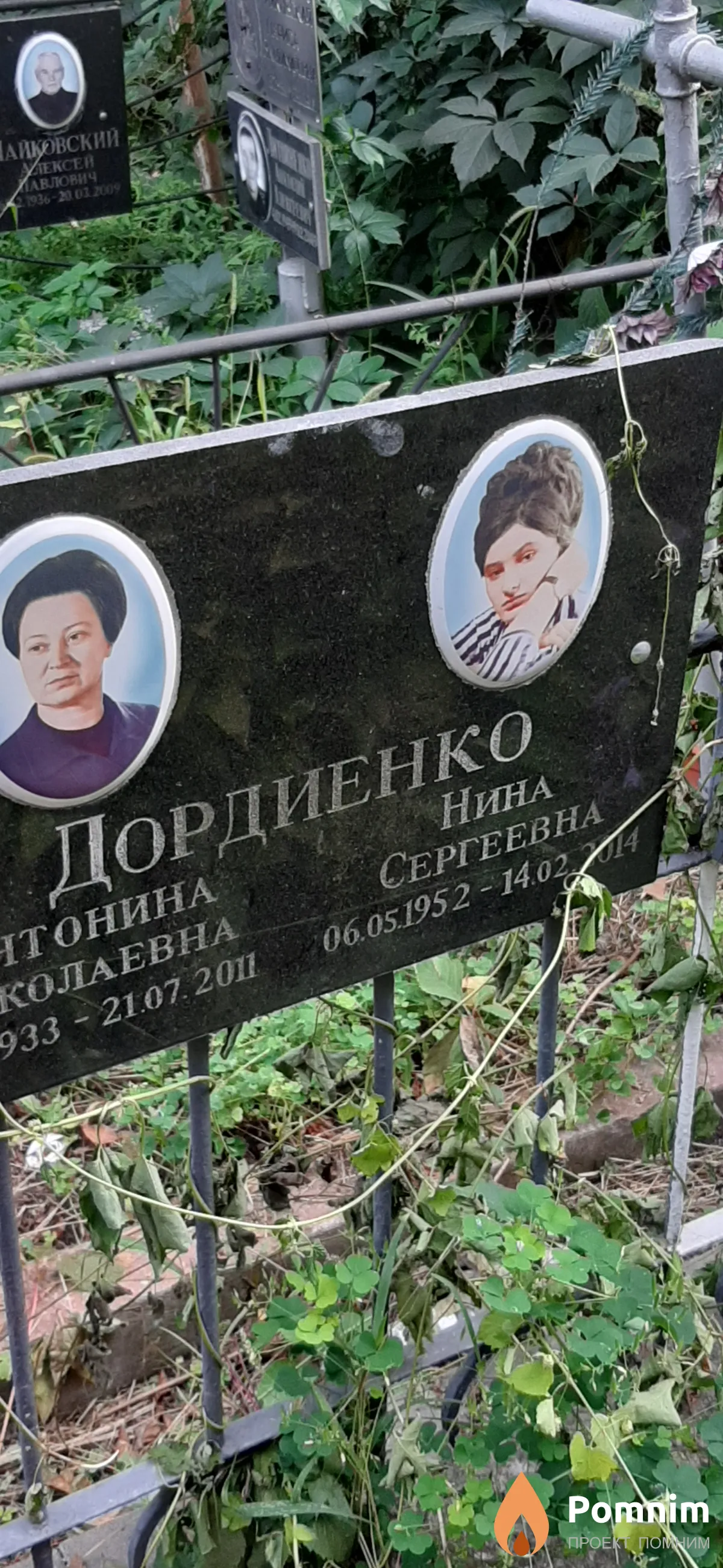 Дордиенко Нина Сергеевна