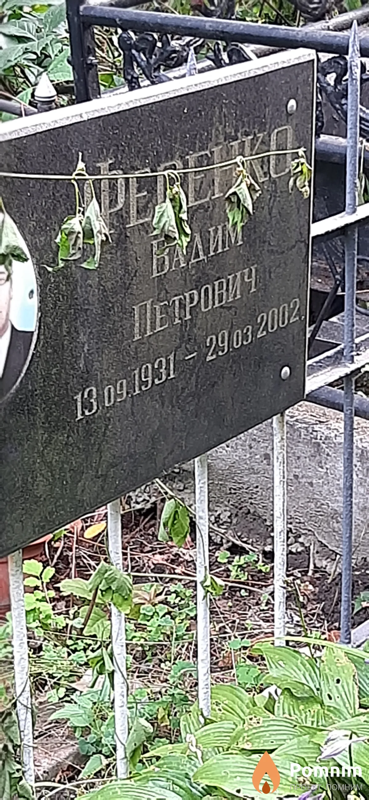 Фесенко Вадим Петрович