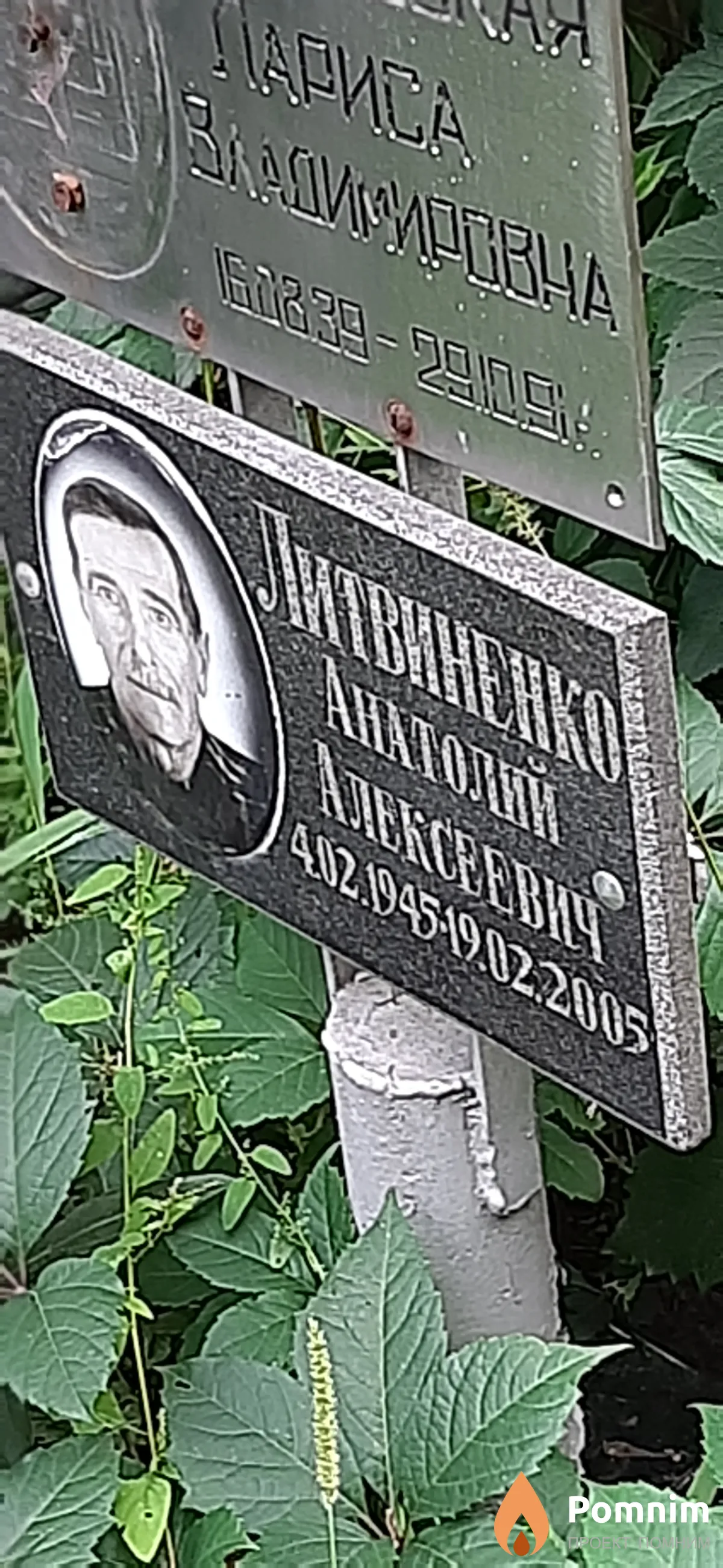 Литвиненко Анатолий Алексеевич
