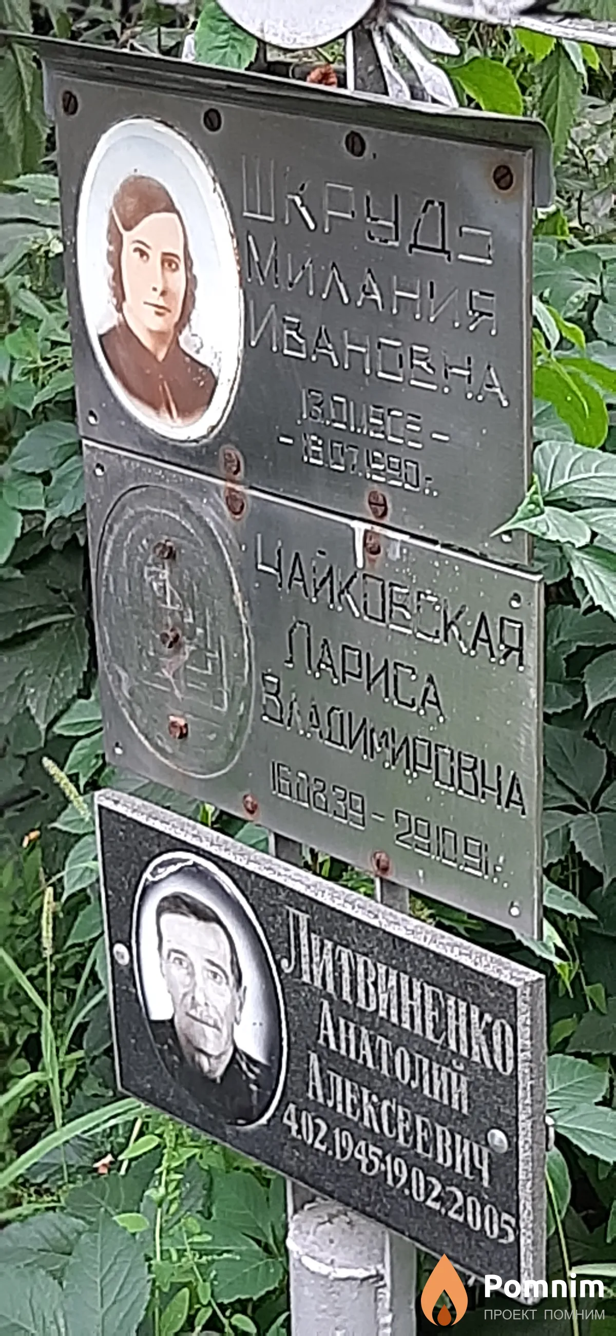 Чайковская Лариса Владимировна