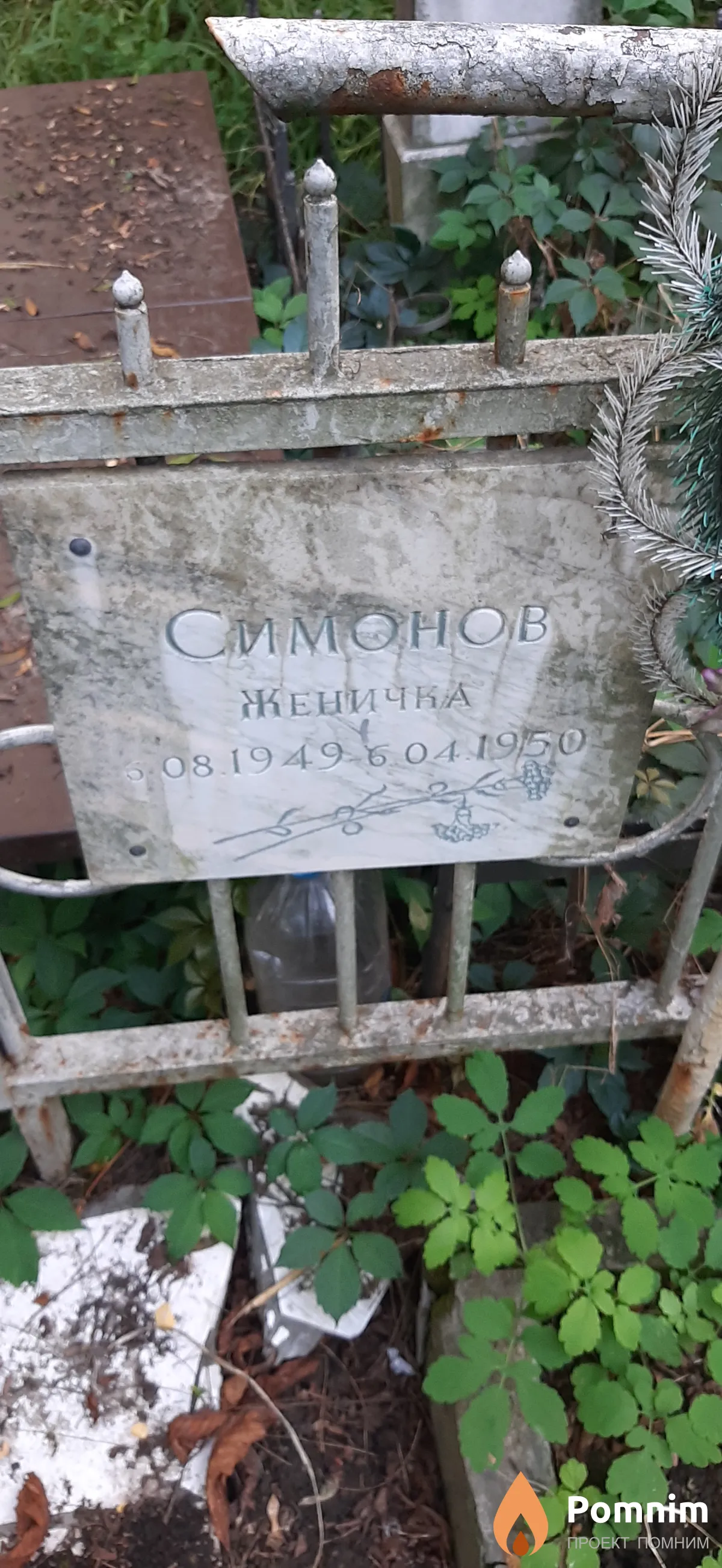 Симонов Женичка