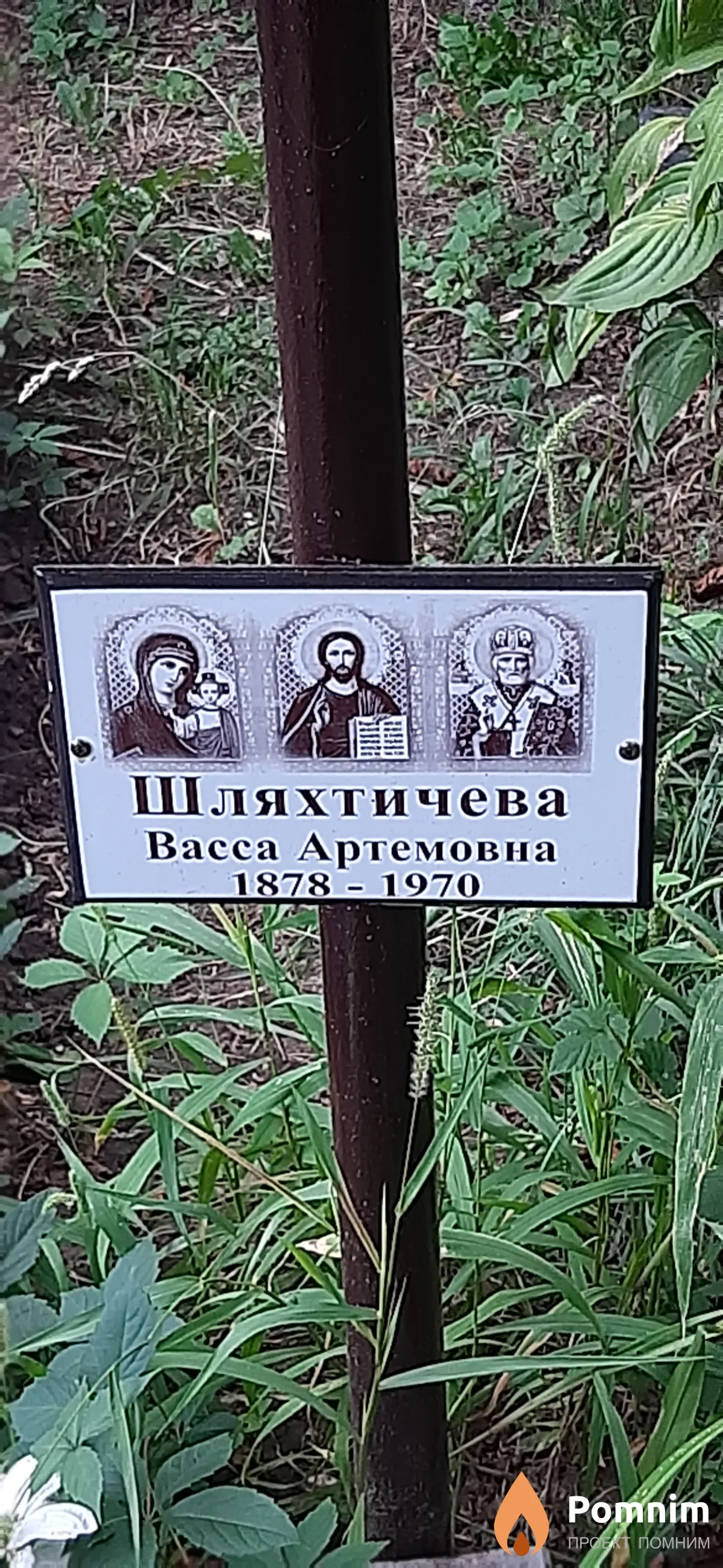 Шляхтичева Васса Артемовна