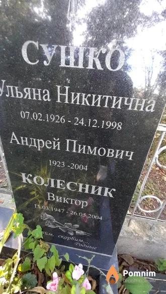 Колесник Виктор