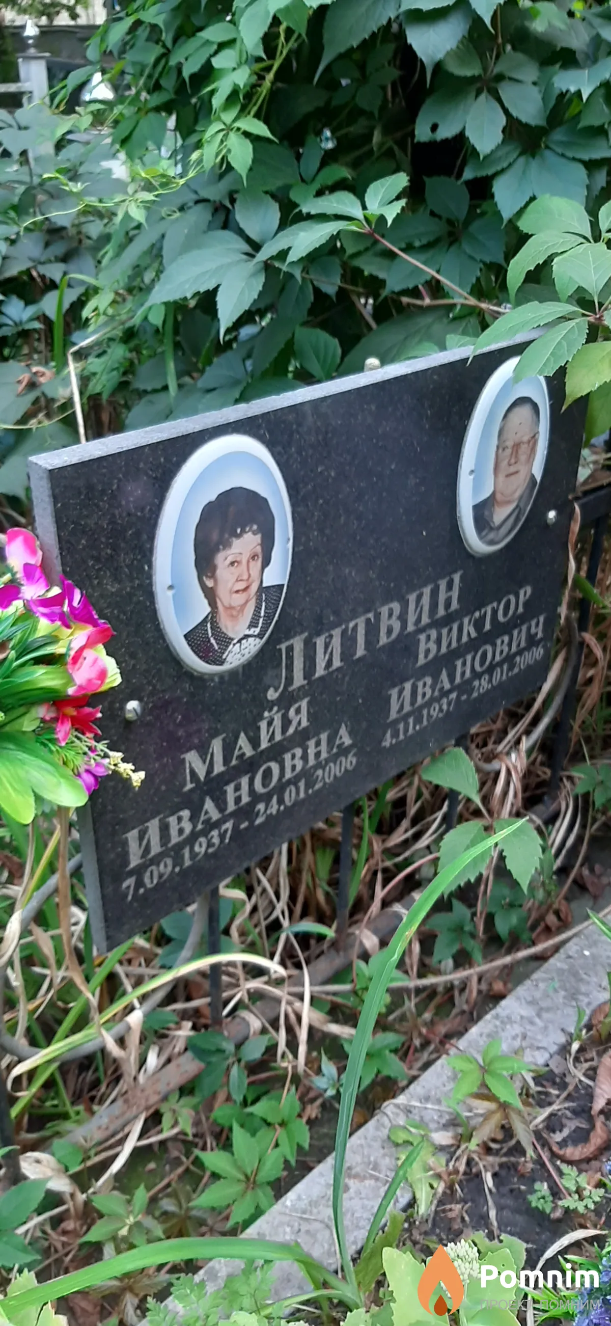 Литвин Майя Ивановна