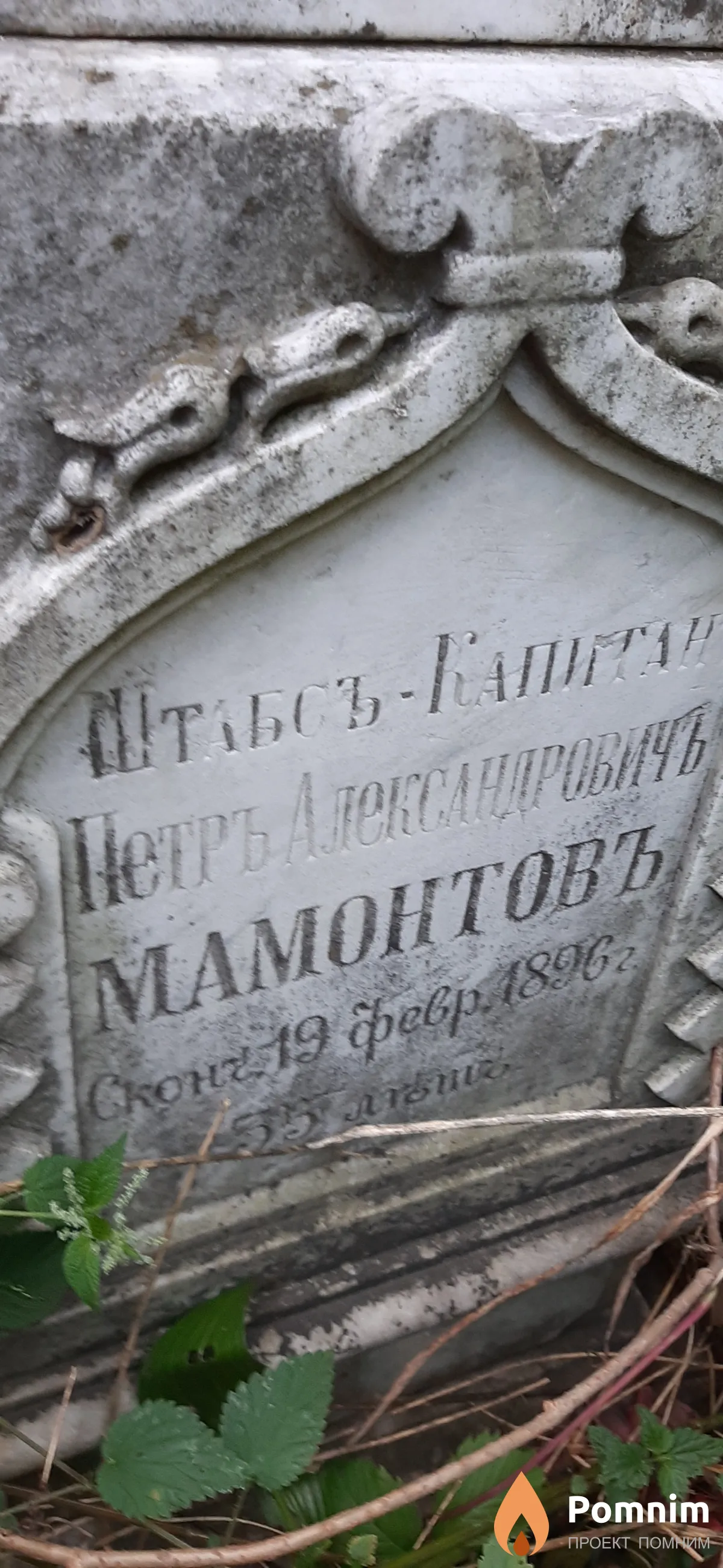 Мамонтовъ Петръ Александровичъ