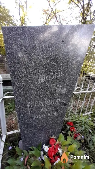 Старкова Анна