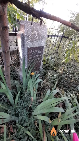 Лукин Александр Дмитриевич