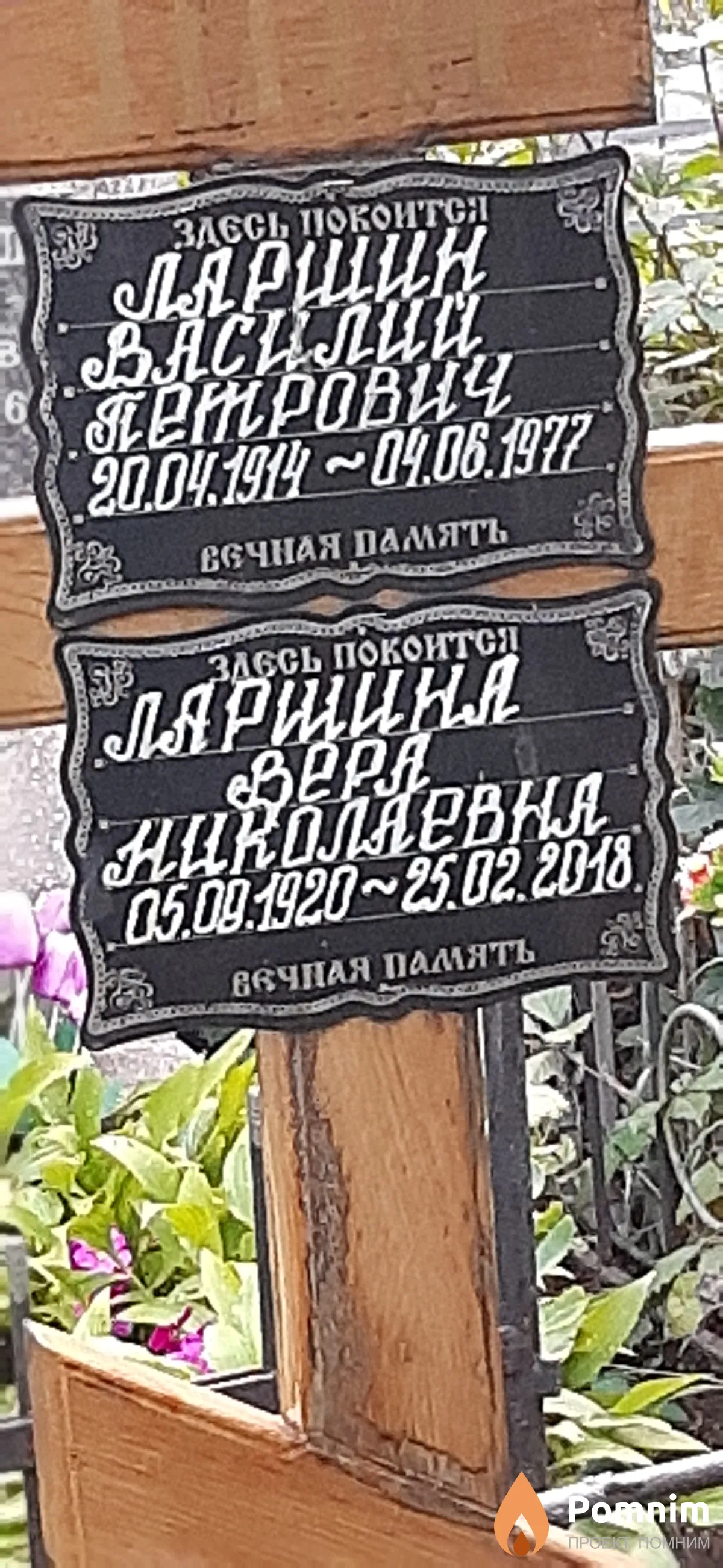 Ларшина Bepa Николаевна