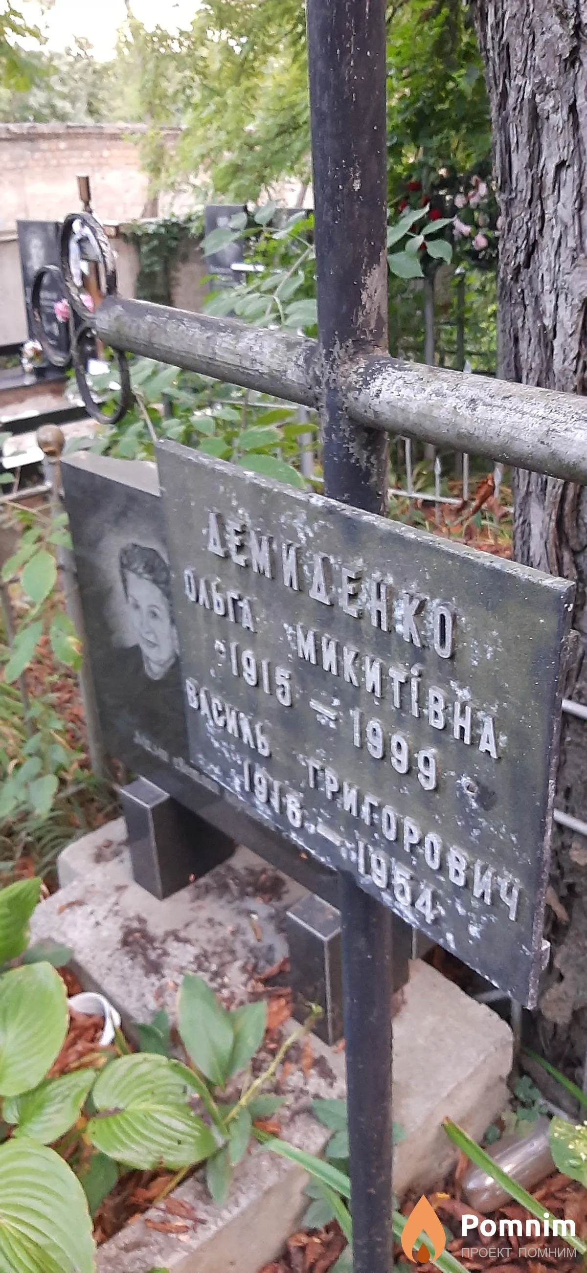 Демиденко Ольга Никитовна