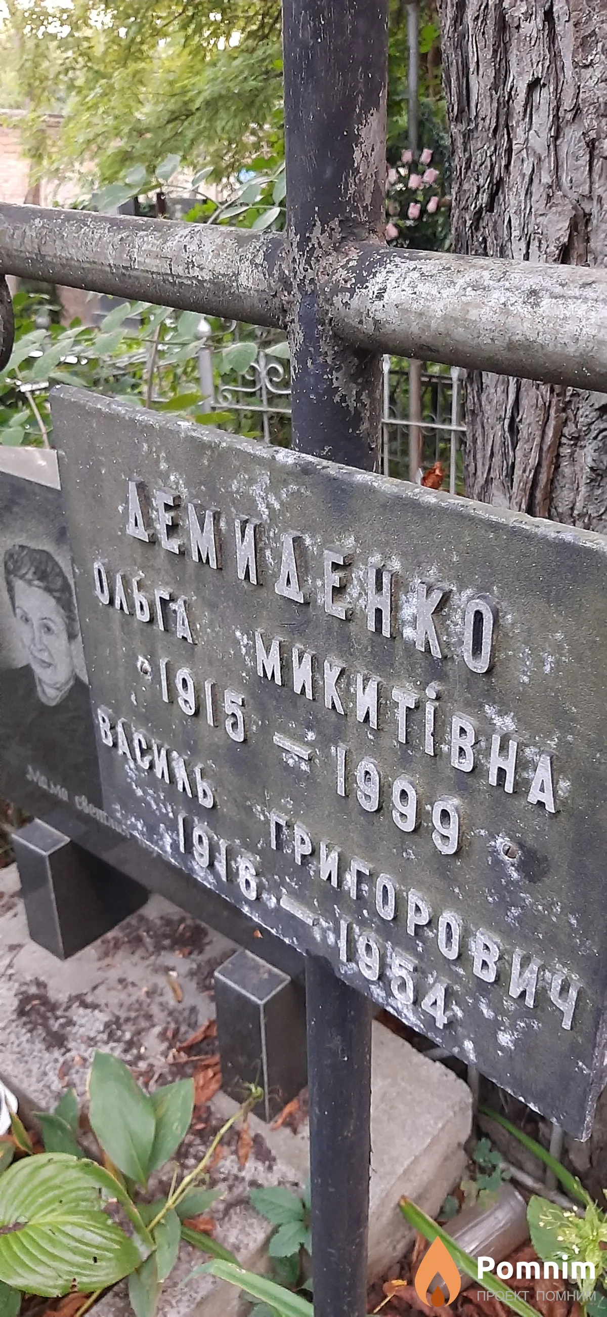 Демиденко Василь Григорьевич