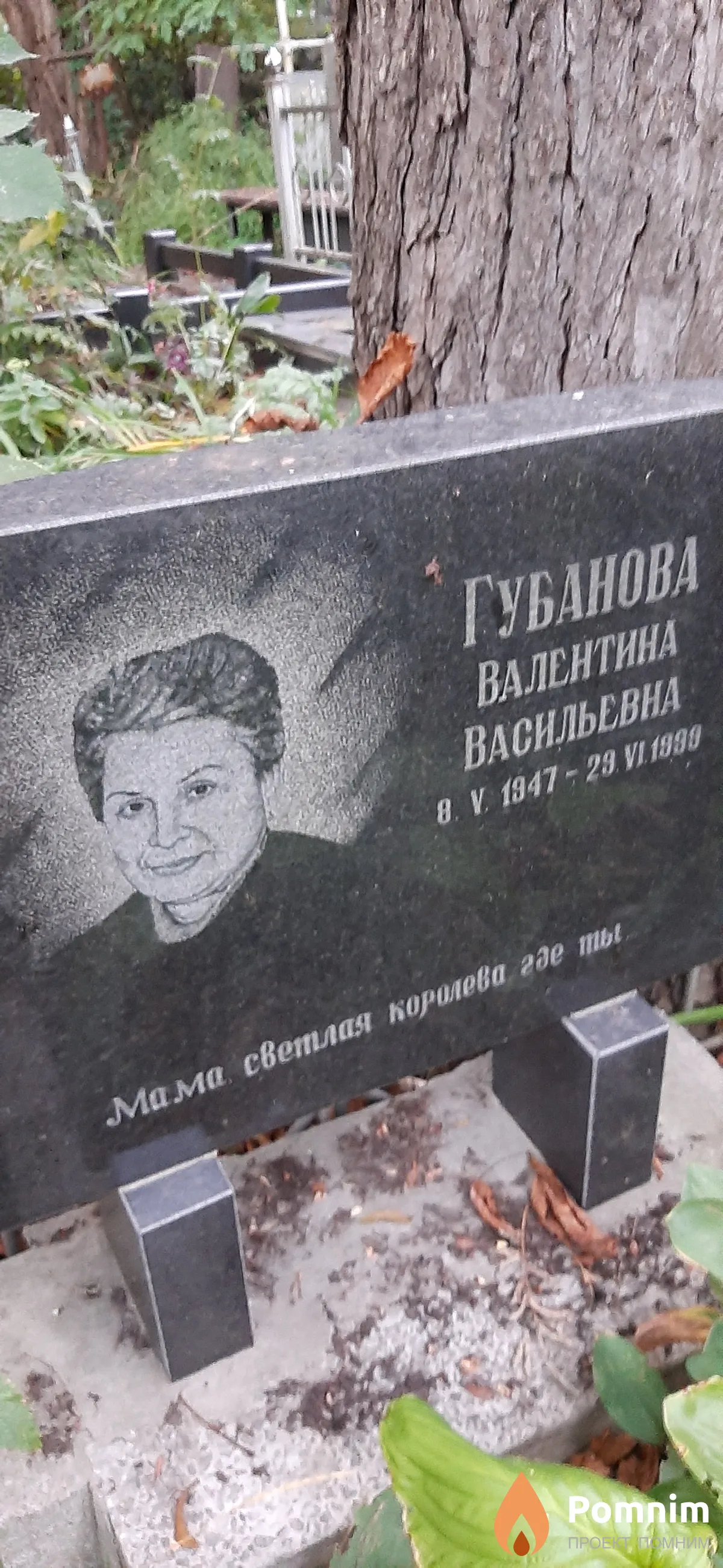 Тест . .