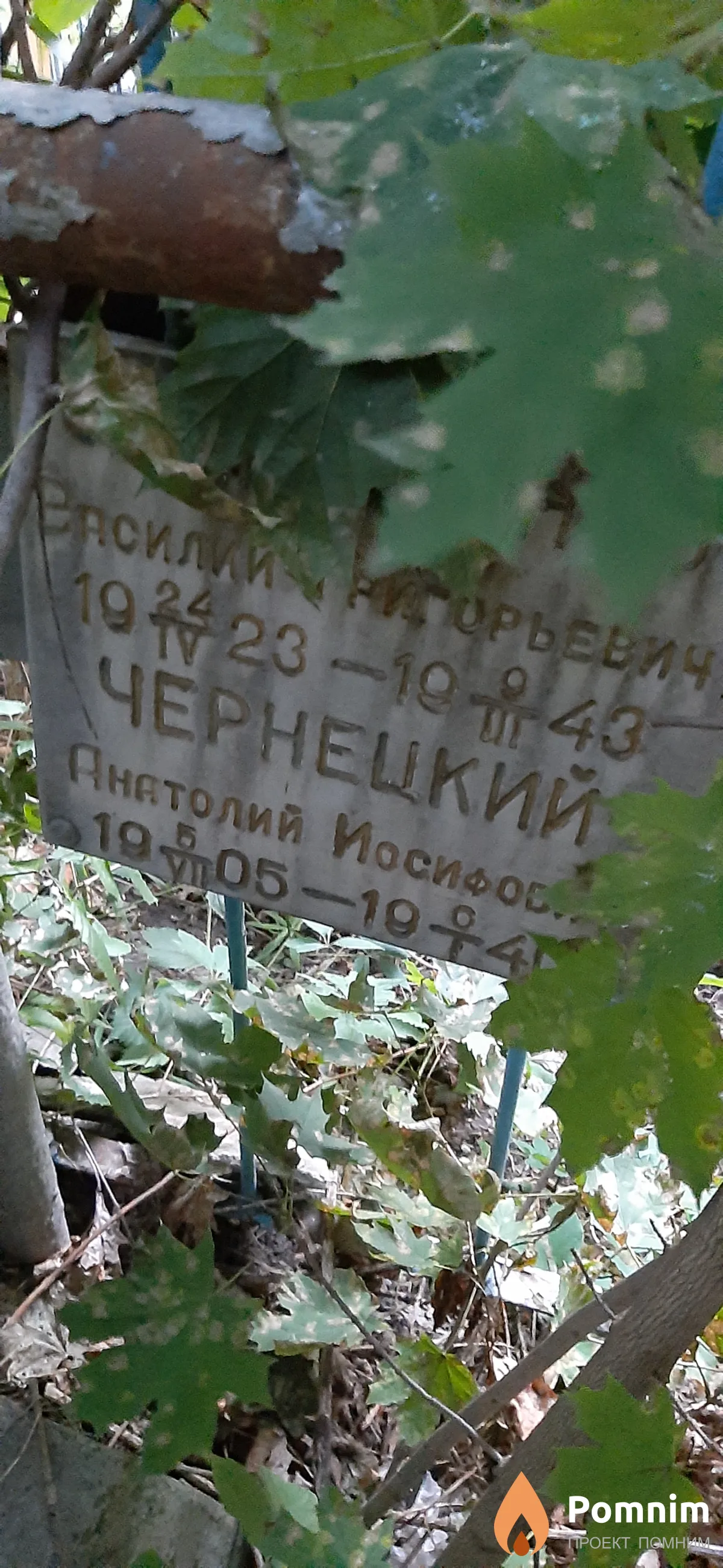 Чернецкий Анатолий Иосифович