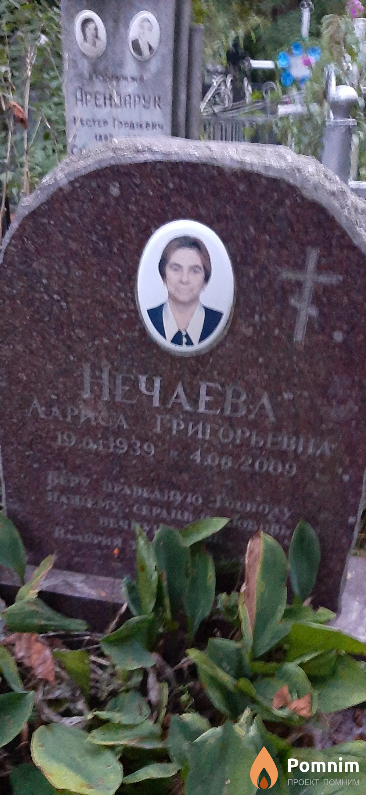 Нечаева Лариса Григорьевна