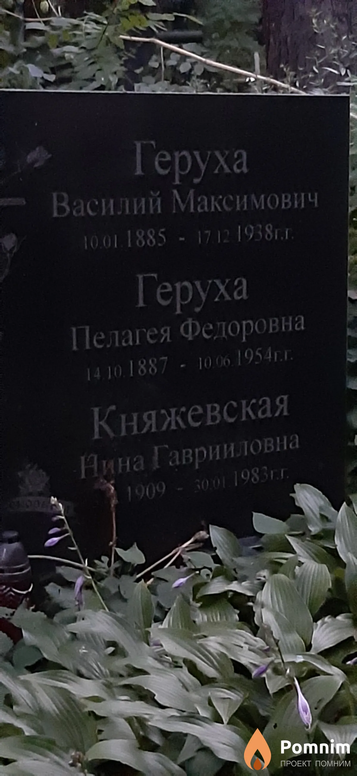 Княжевская Нина Гаврииловна