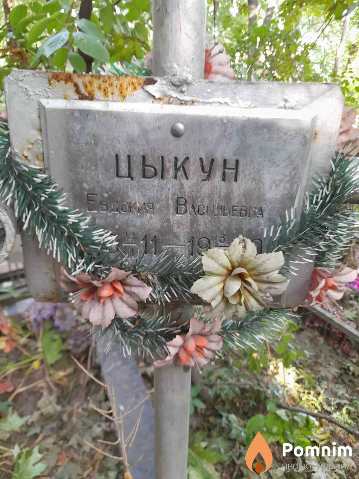 Цыкун Евдокия Васильевна