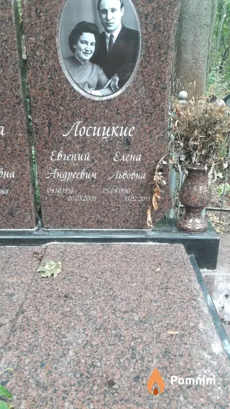 Лосицкая Елена Львовна