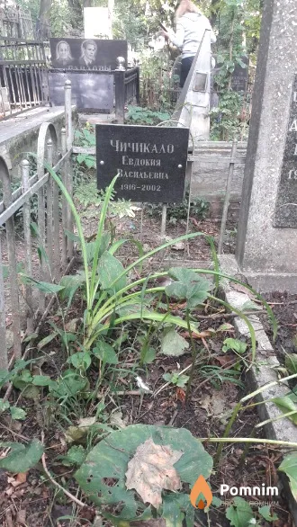Чичикало Евдокия Васильевна