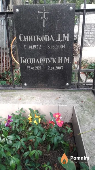 Сниткова Д.М.