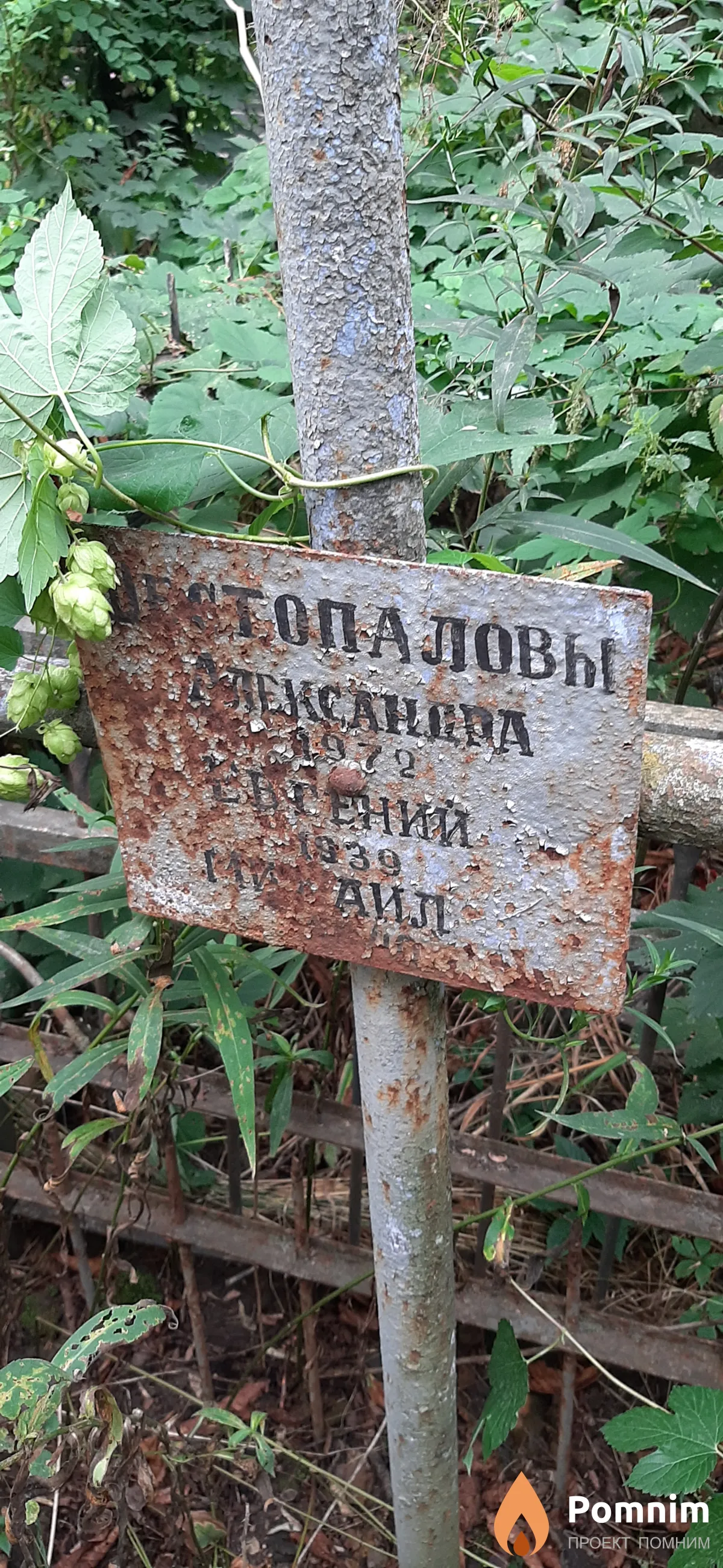 Шестопалова Александра
