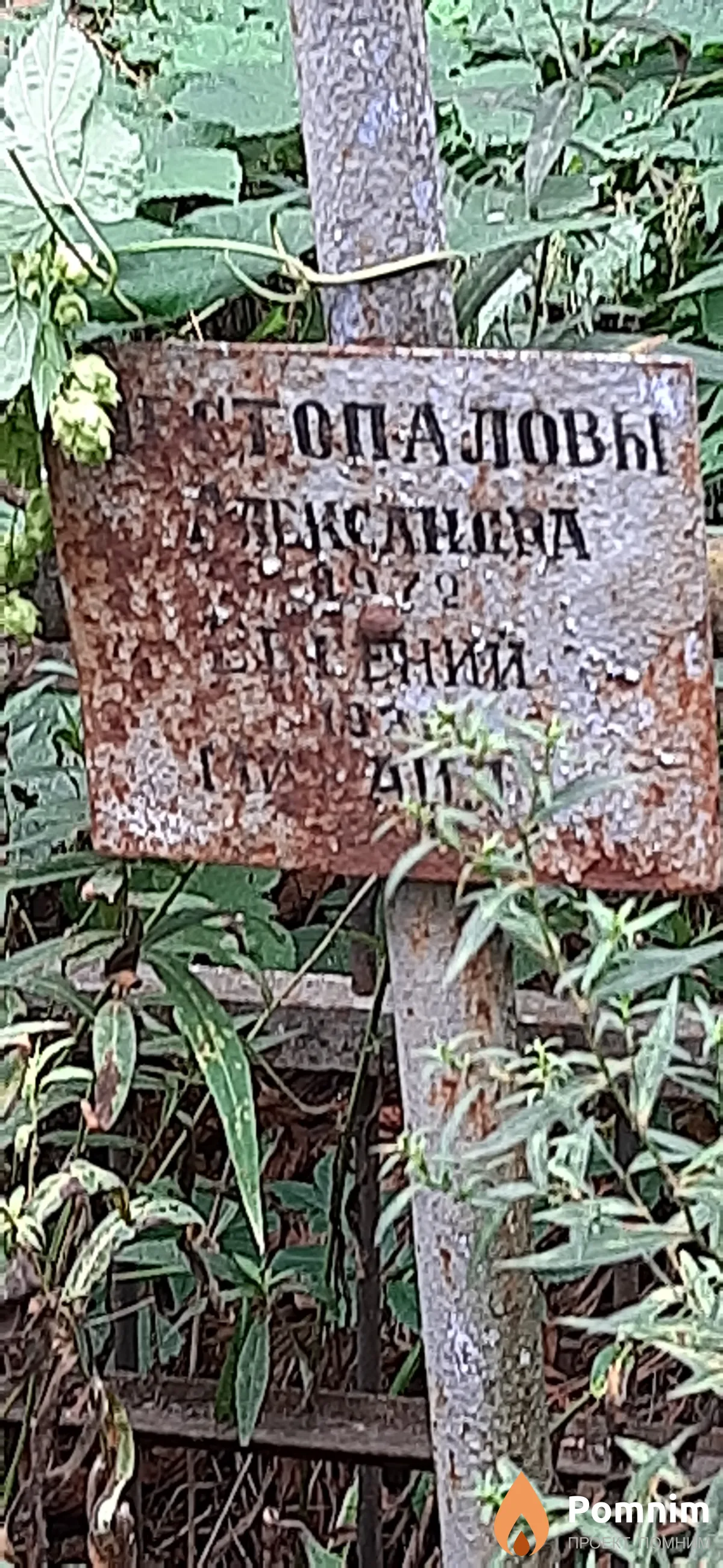 Шестопалов Евгений