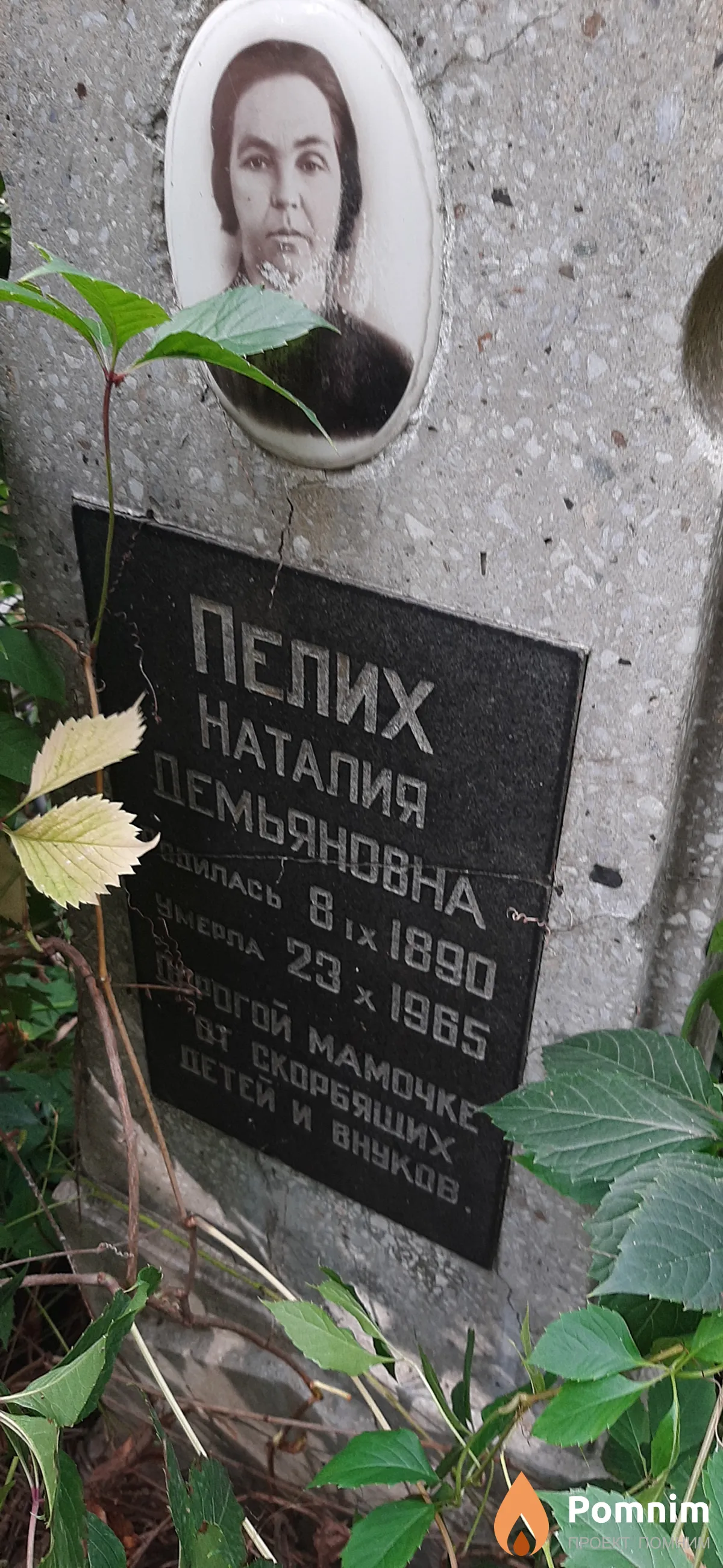 Пелих Наталья Демьяновна