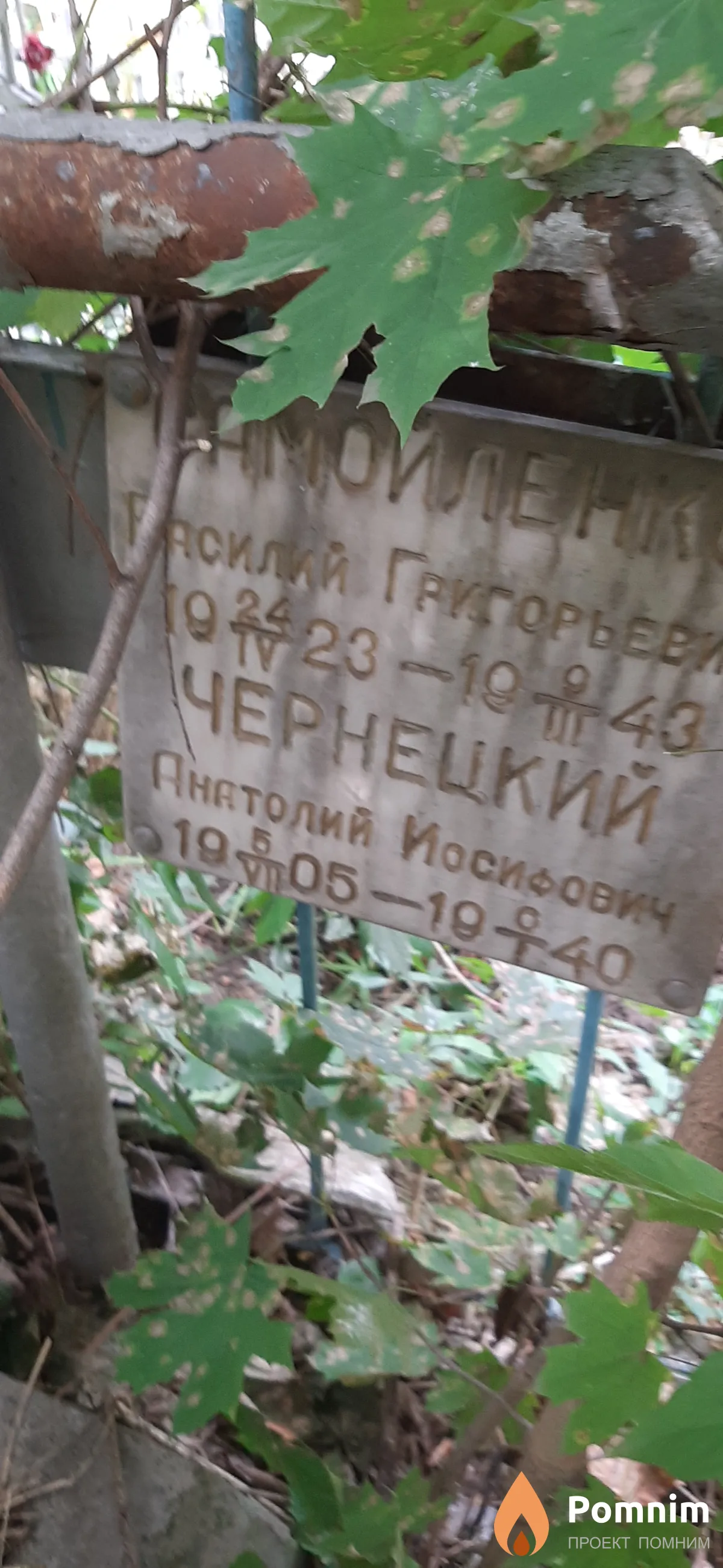 Самойленко Василий Григорьевич