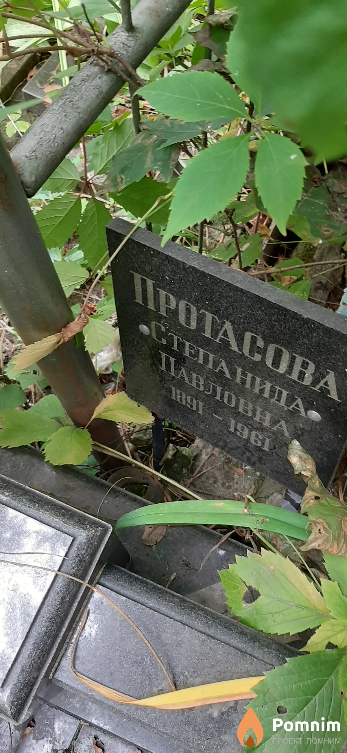 Протасова Степанида Павловна