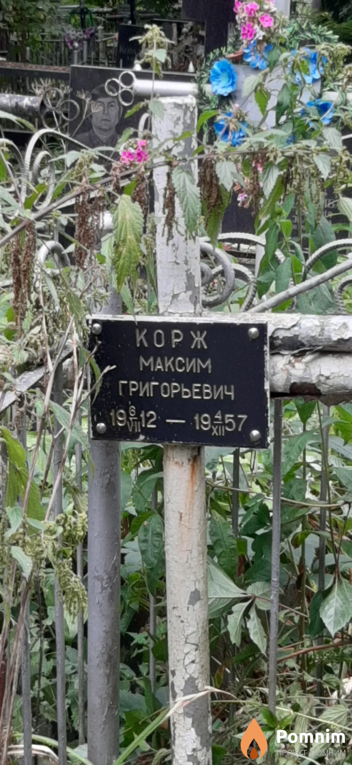 Корж Максим Григорьевич