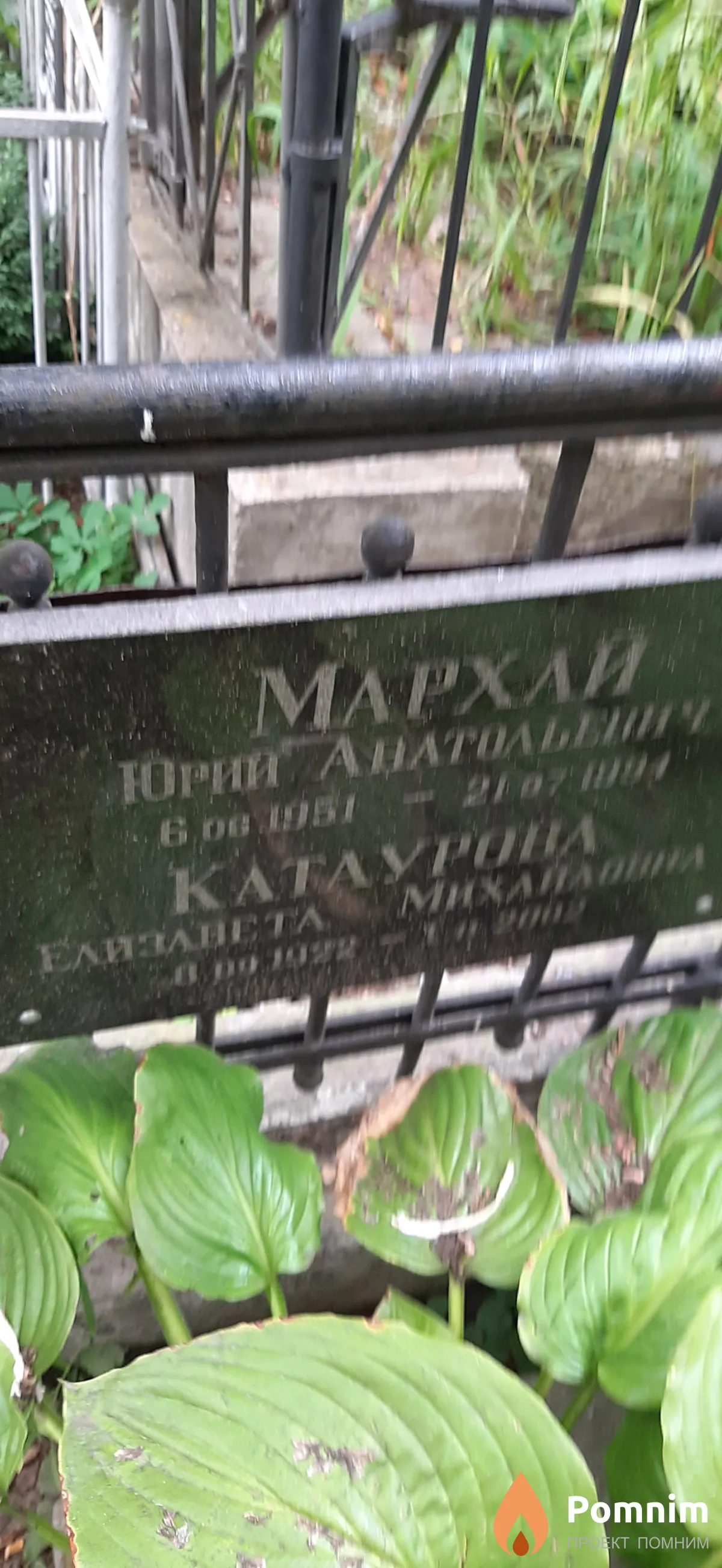 Катаурова Елизавета Михайловна