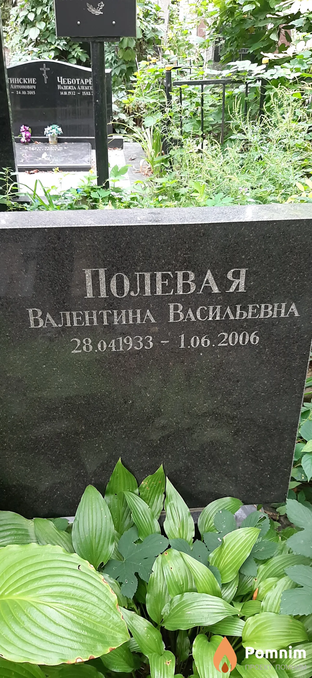 Полевая Валентина Васильевна