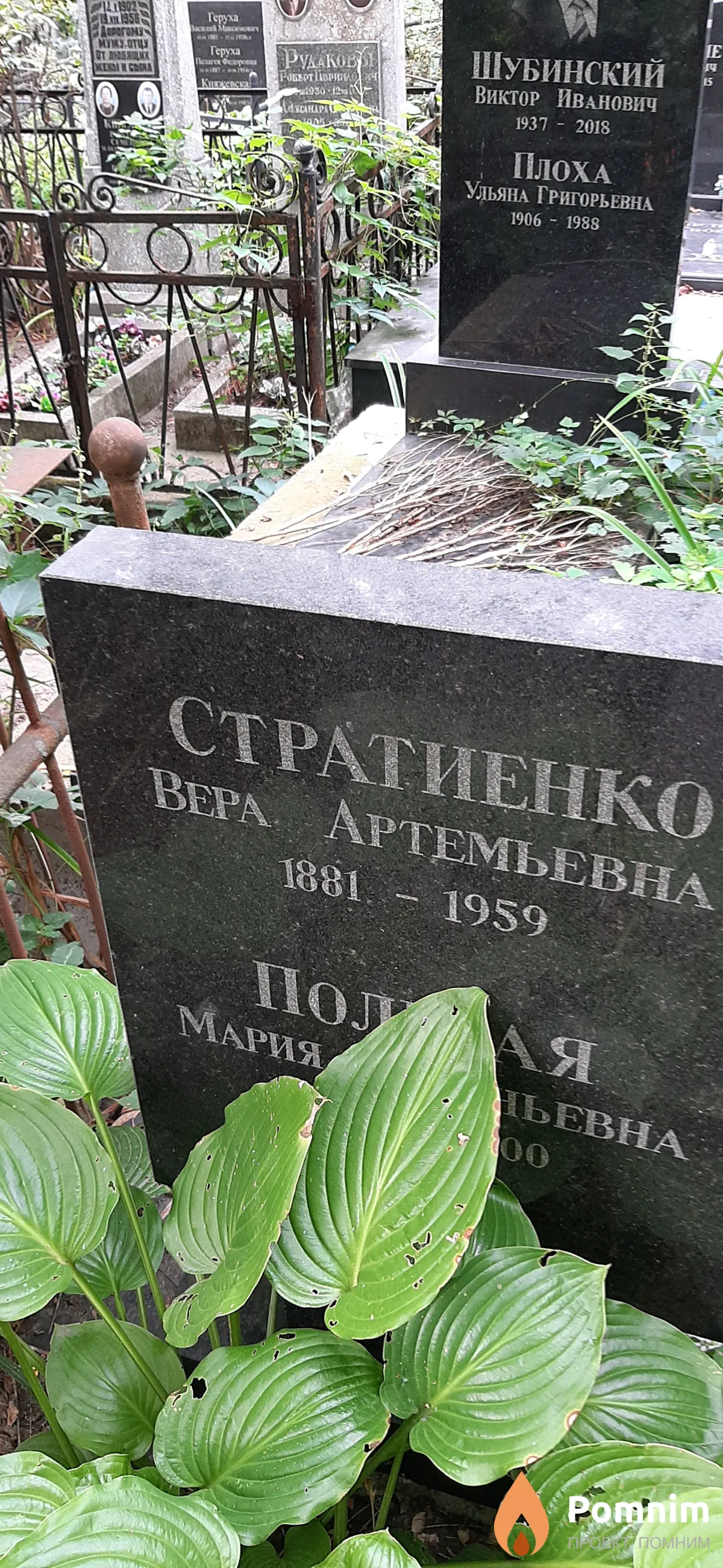 Стратиенко Вера Артемьевна